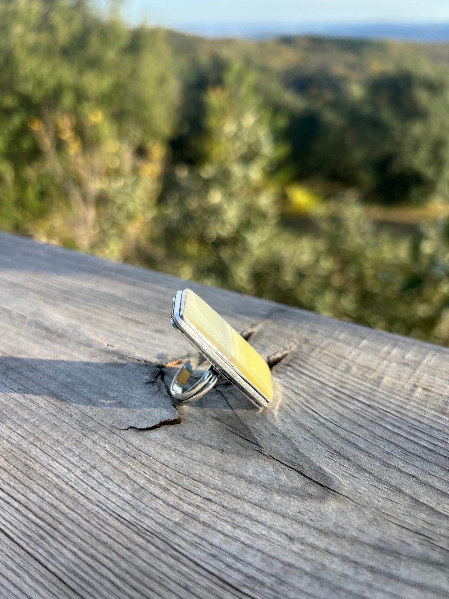 Bague en Larsonite taille 53