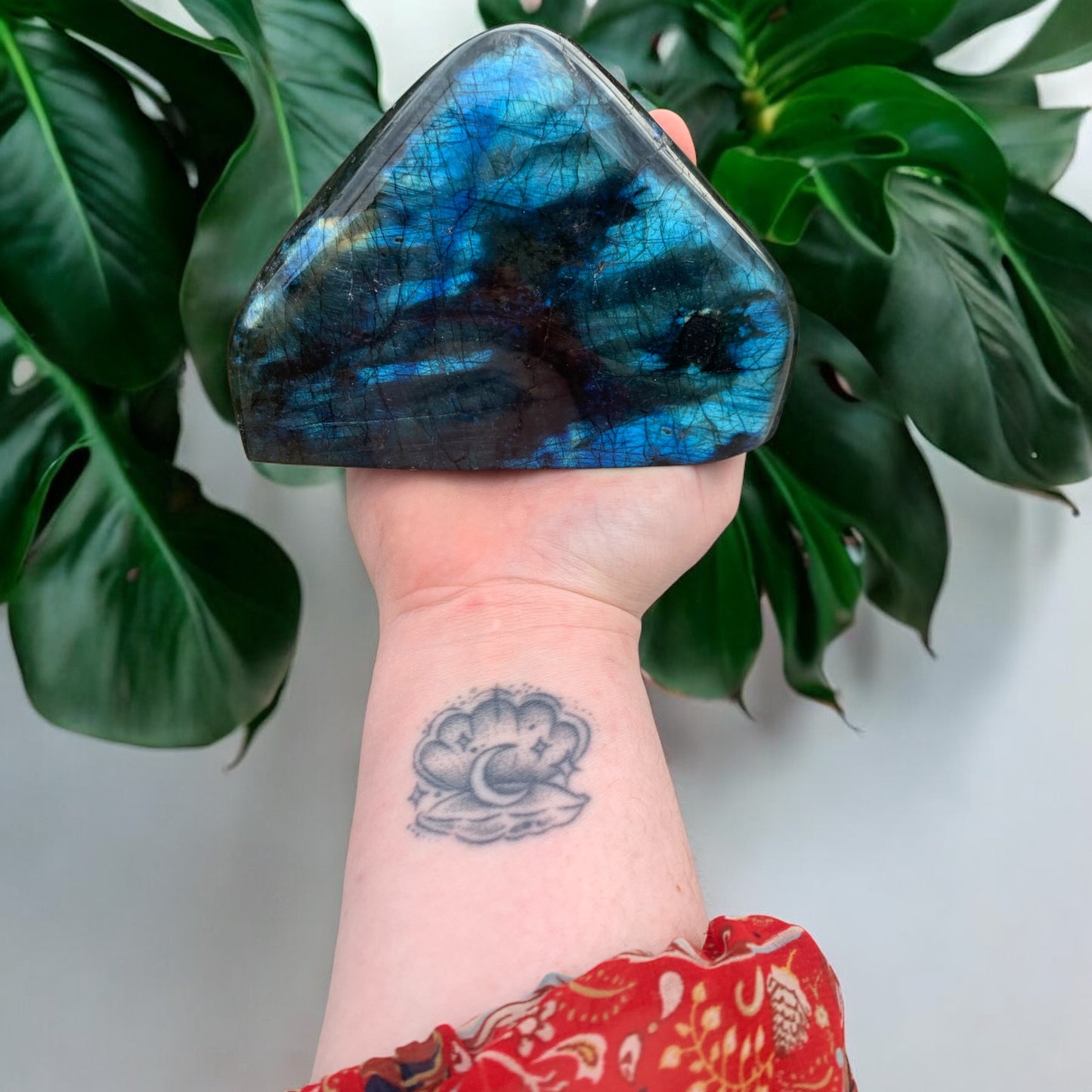 Bloc de Labradorite