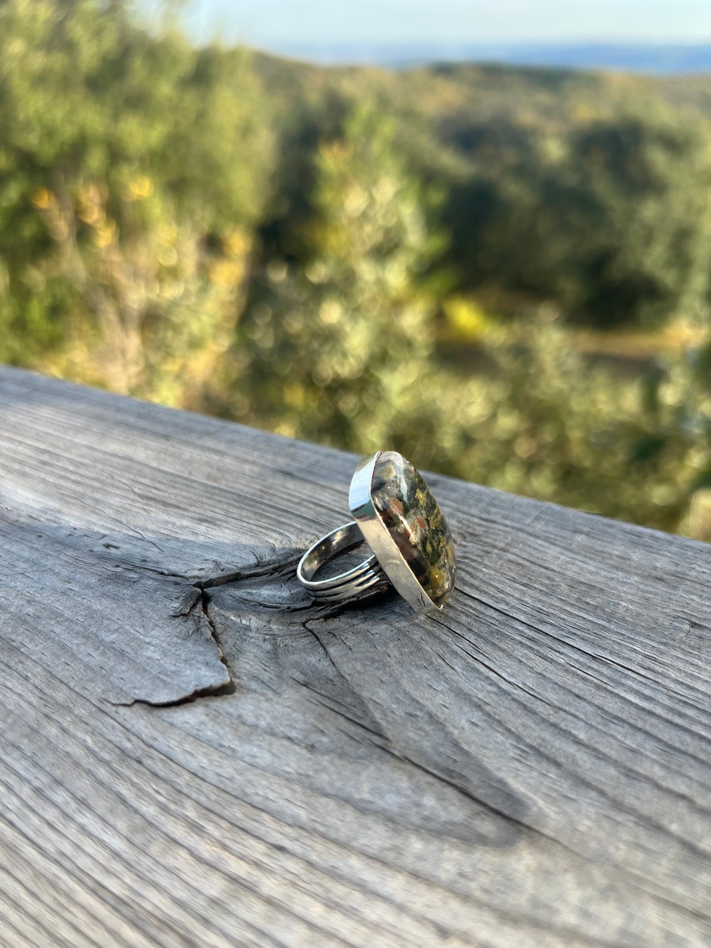 Bague en Jaspe sang de dragon taille 53