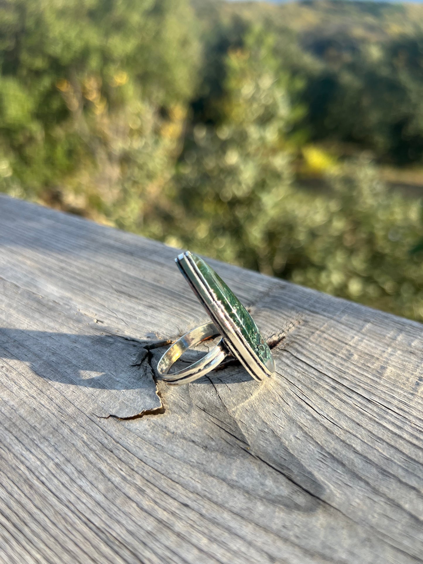 Bague en Agate Mousse taille 63