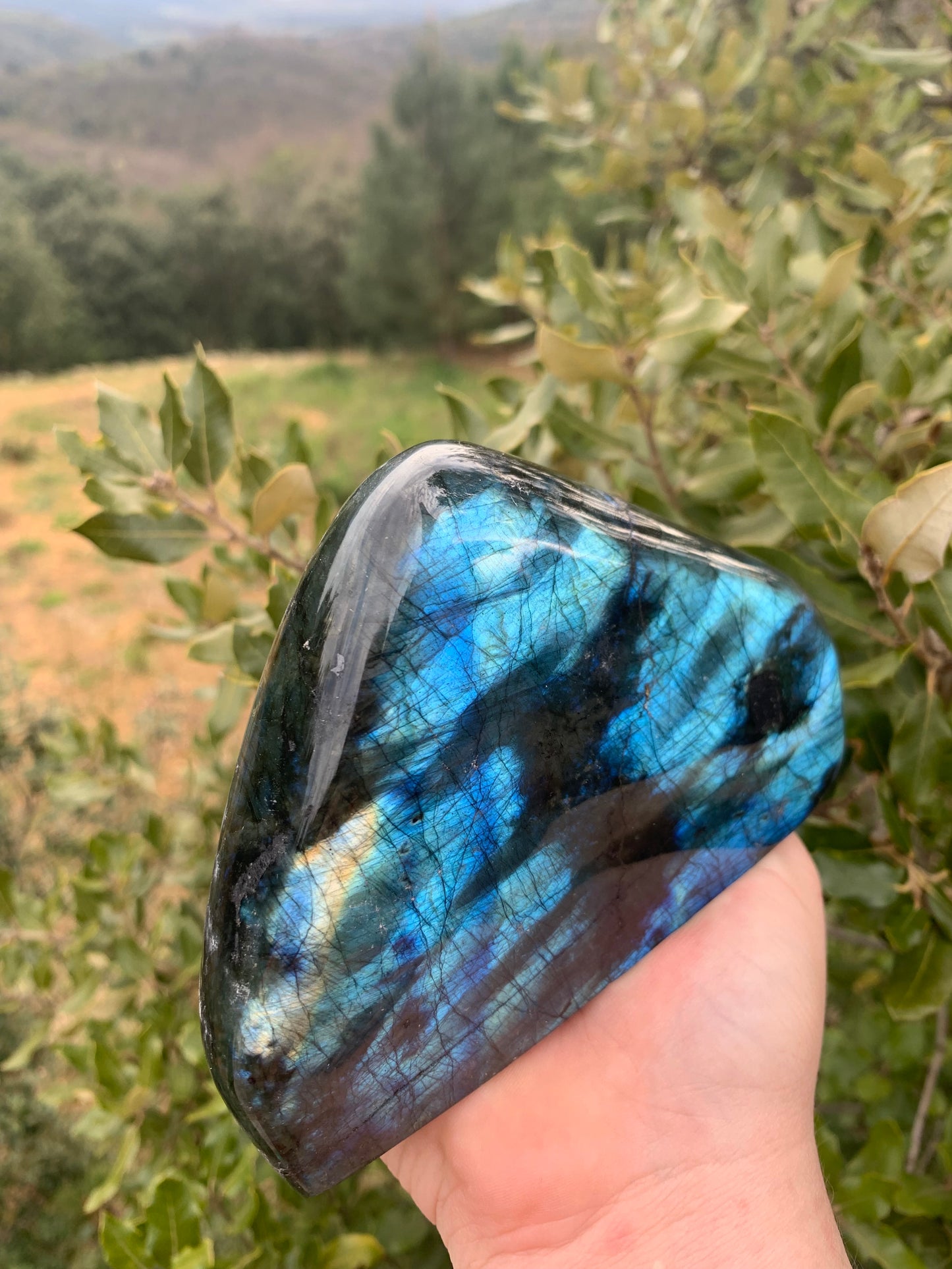 Bloc de Labradorite