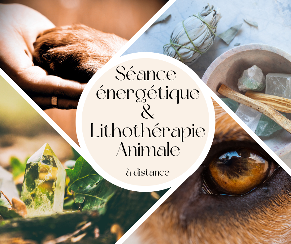 Remote energy session & animal lithotherapy