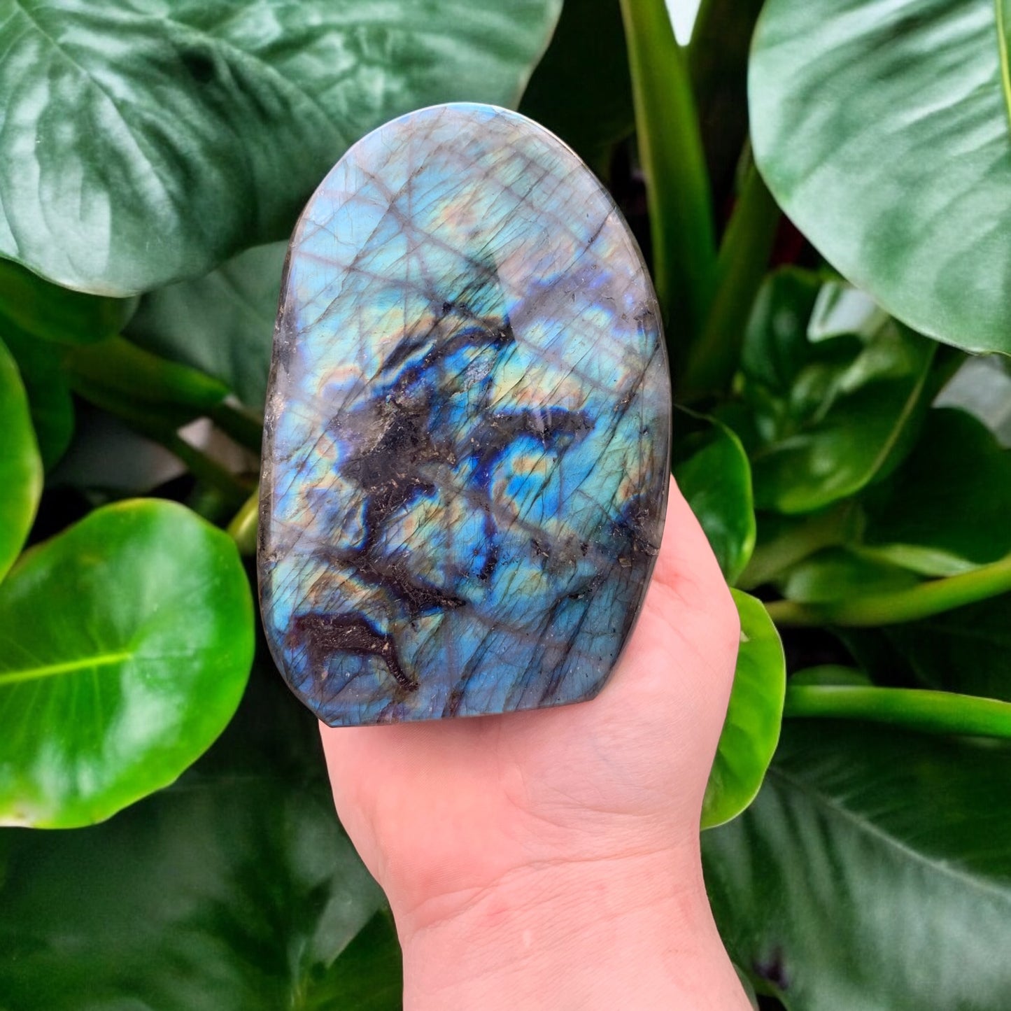 Bloc de Labradorite