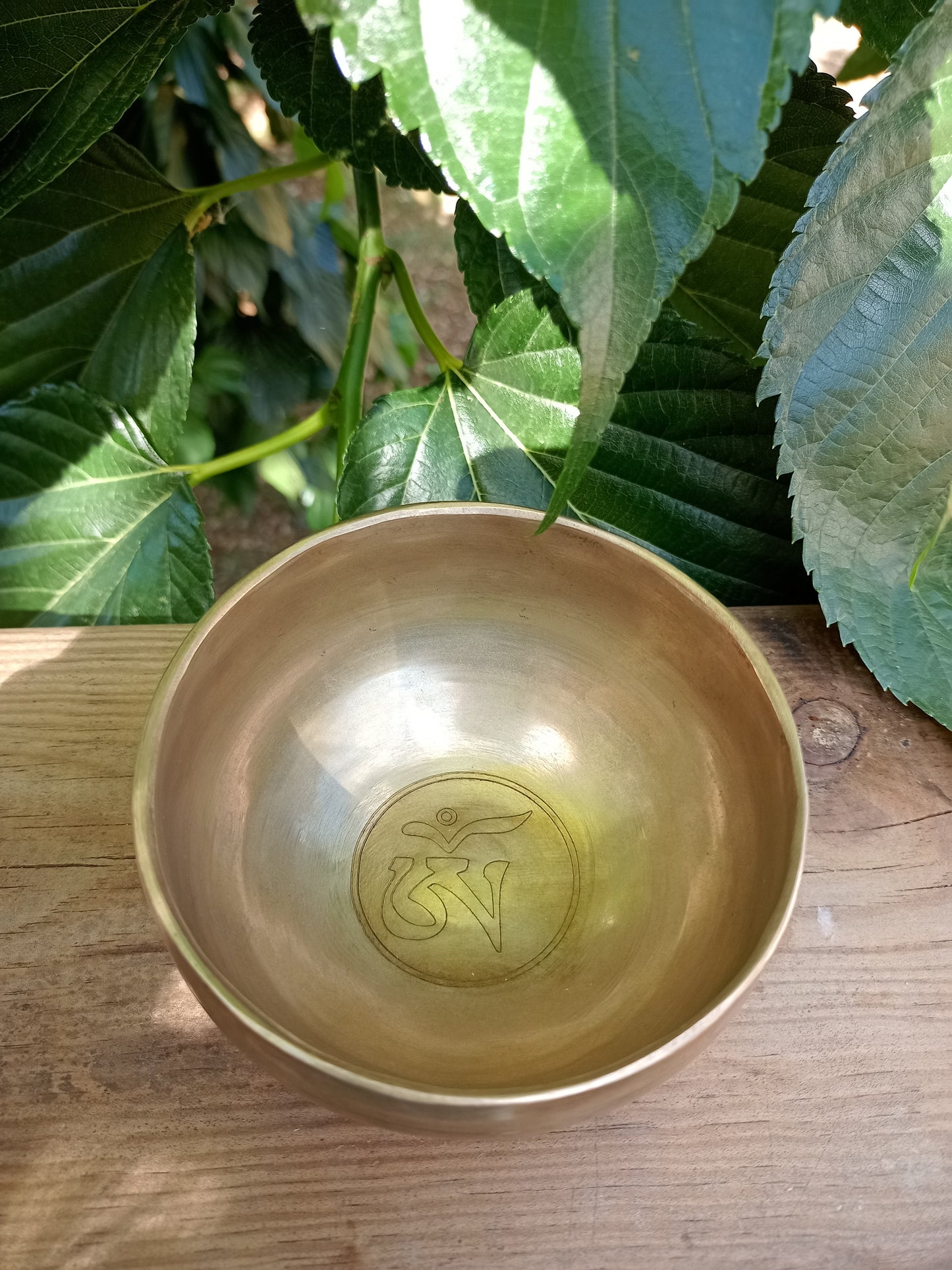 Tibetan Singing Bowl engraved Om 12 cm