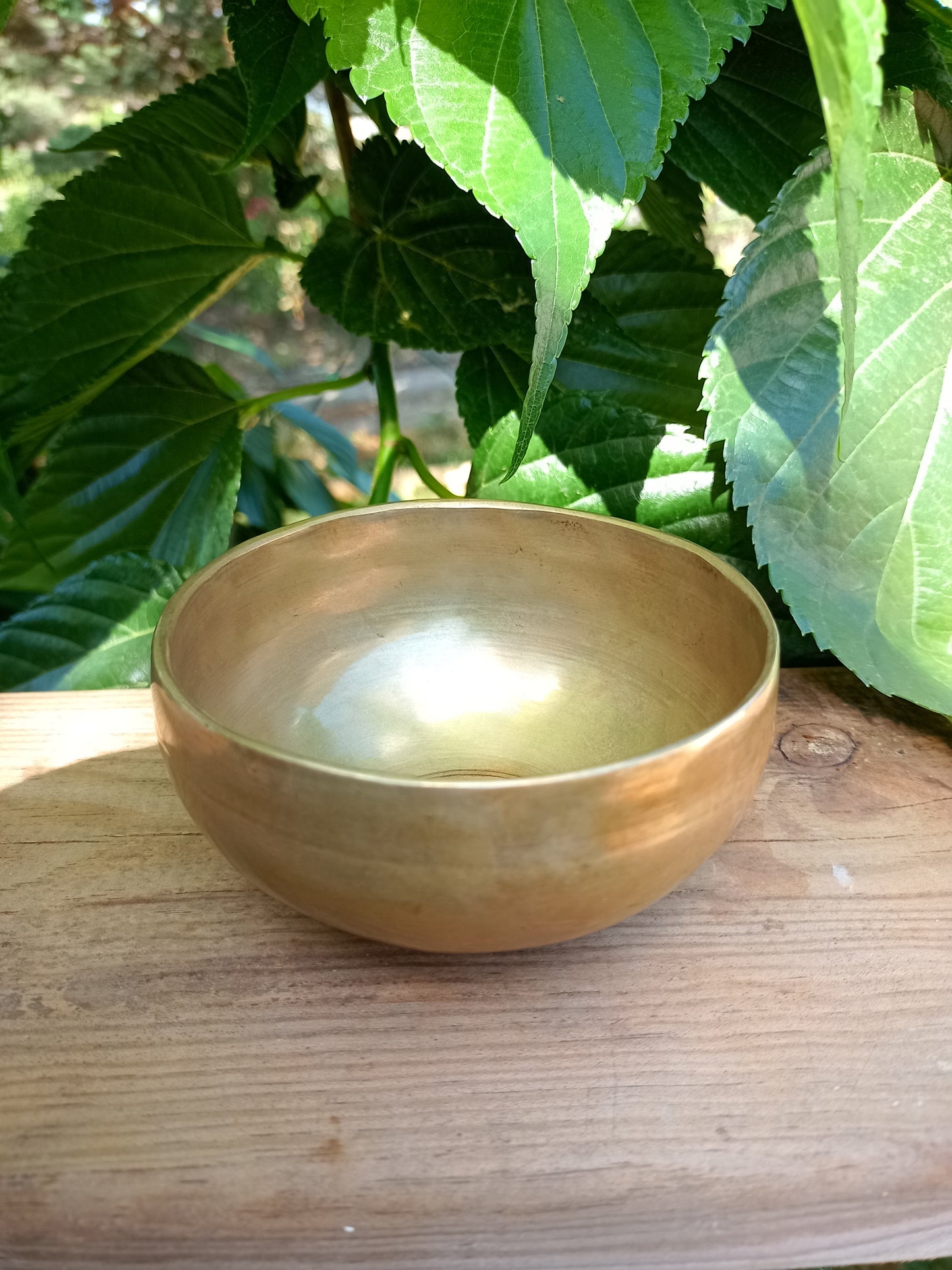Tibetan Singing Bowl engraved Om 12 cm