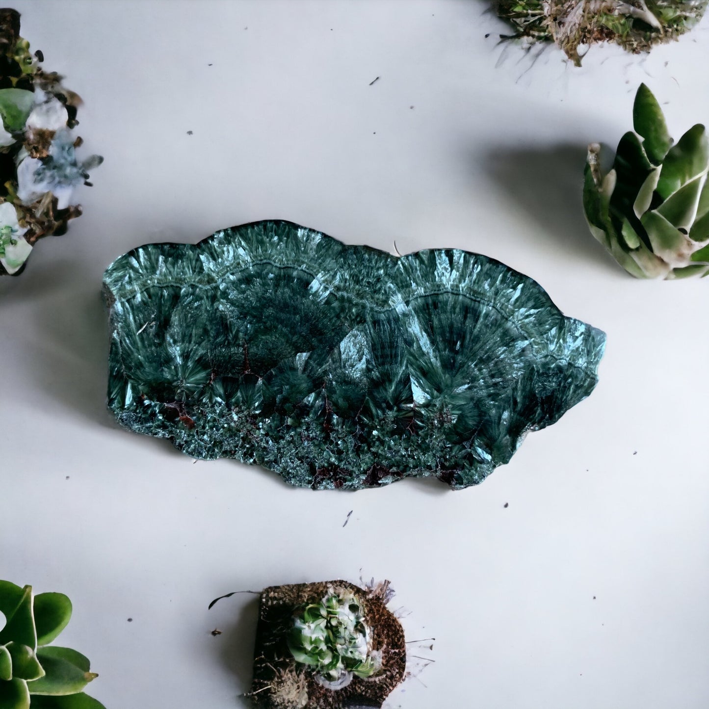 Seraphinite Slice