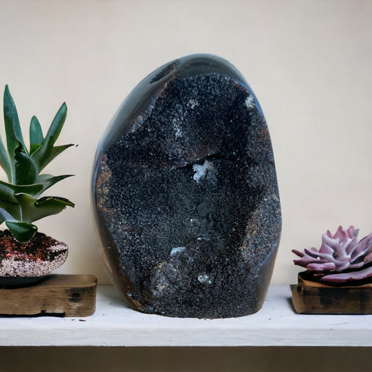 Septaria - Pierre de Dragon sauvage forme libre