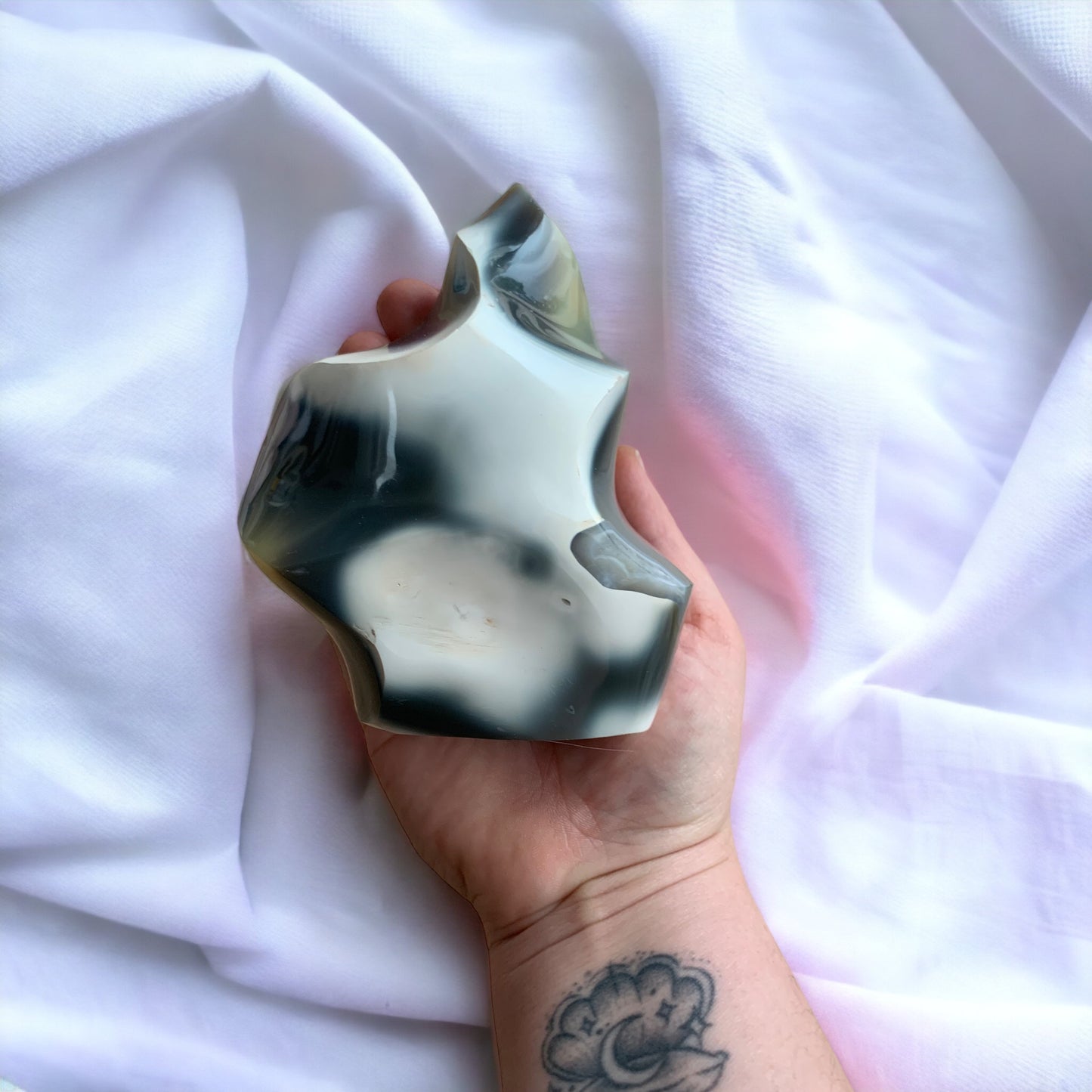 Orca Agate Free Form