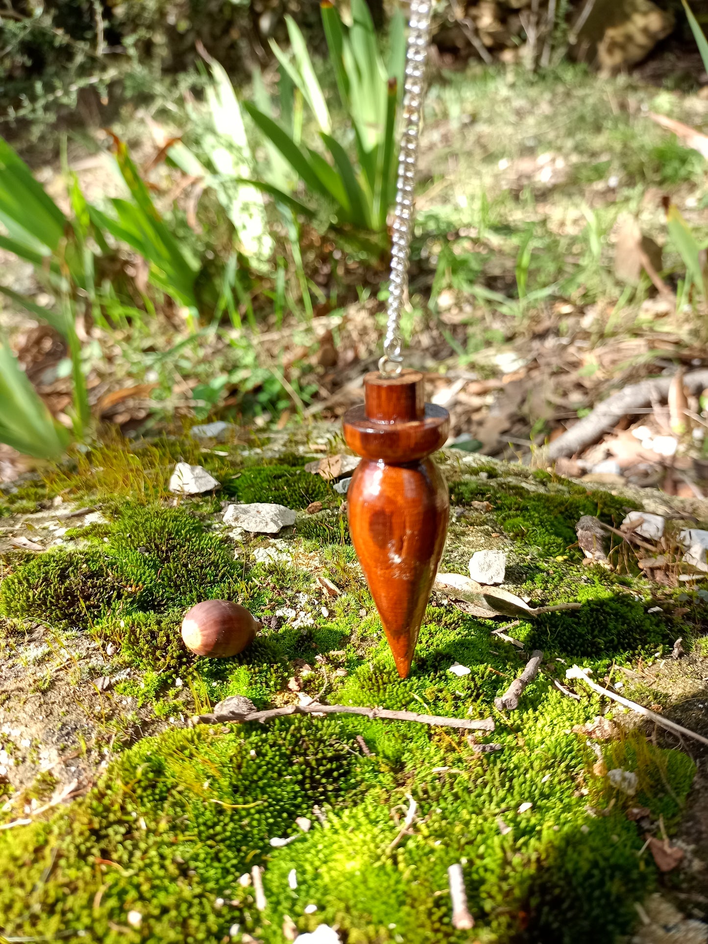 Wooden Pendulum