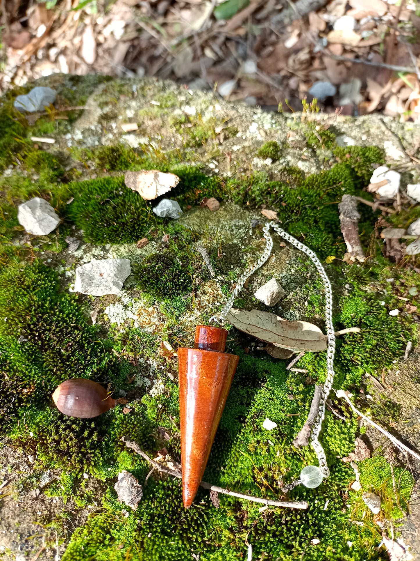 Wooden Pendulum