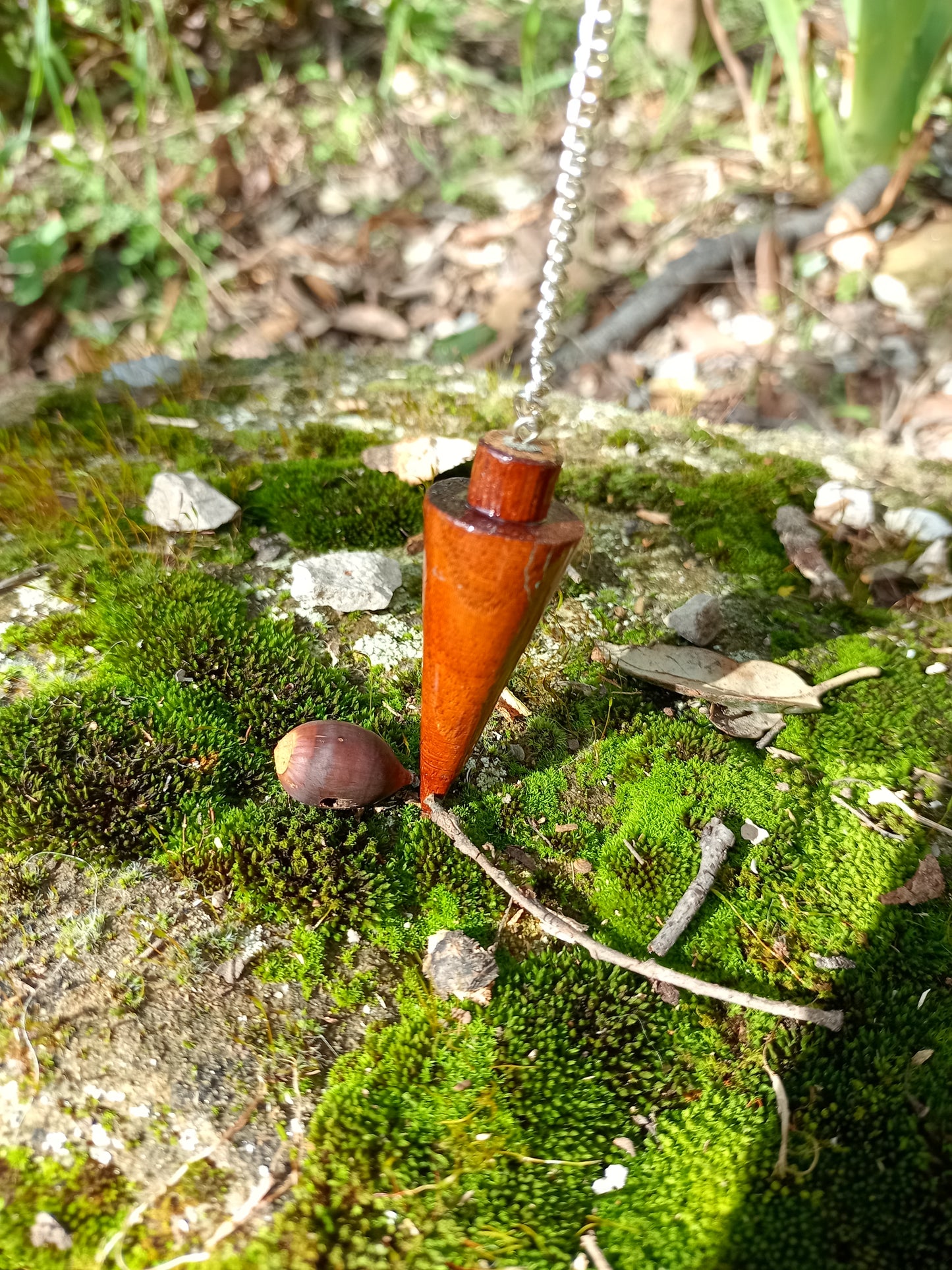 Wooden Pendulum