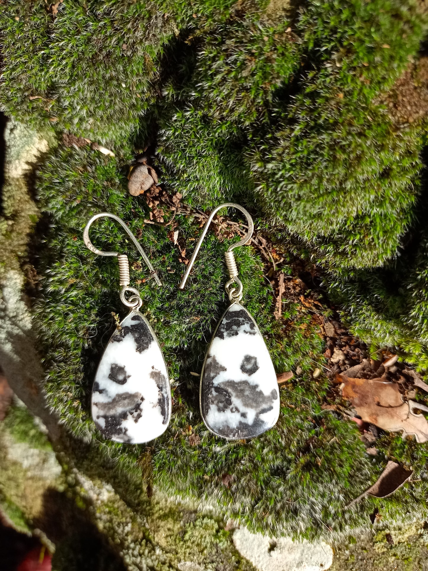Boucles d'oreilles en Jaspe Zèbre
