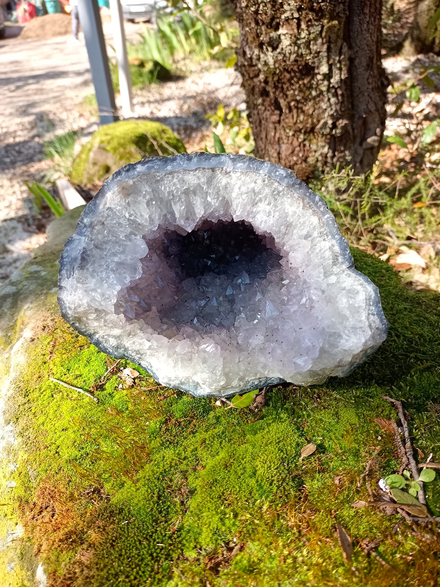 Amethyst Geode “From the Depths”