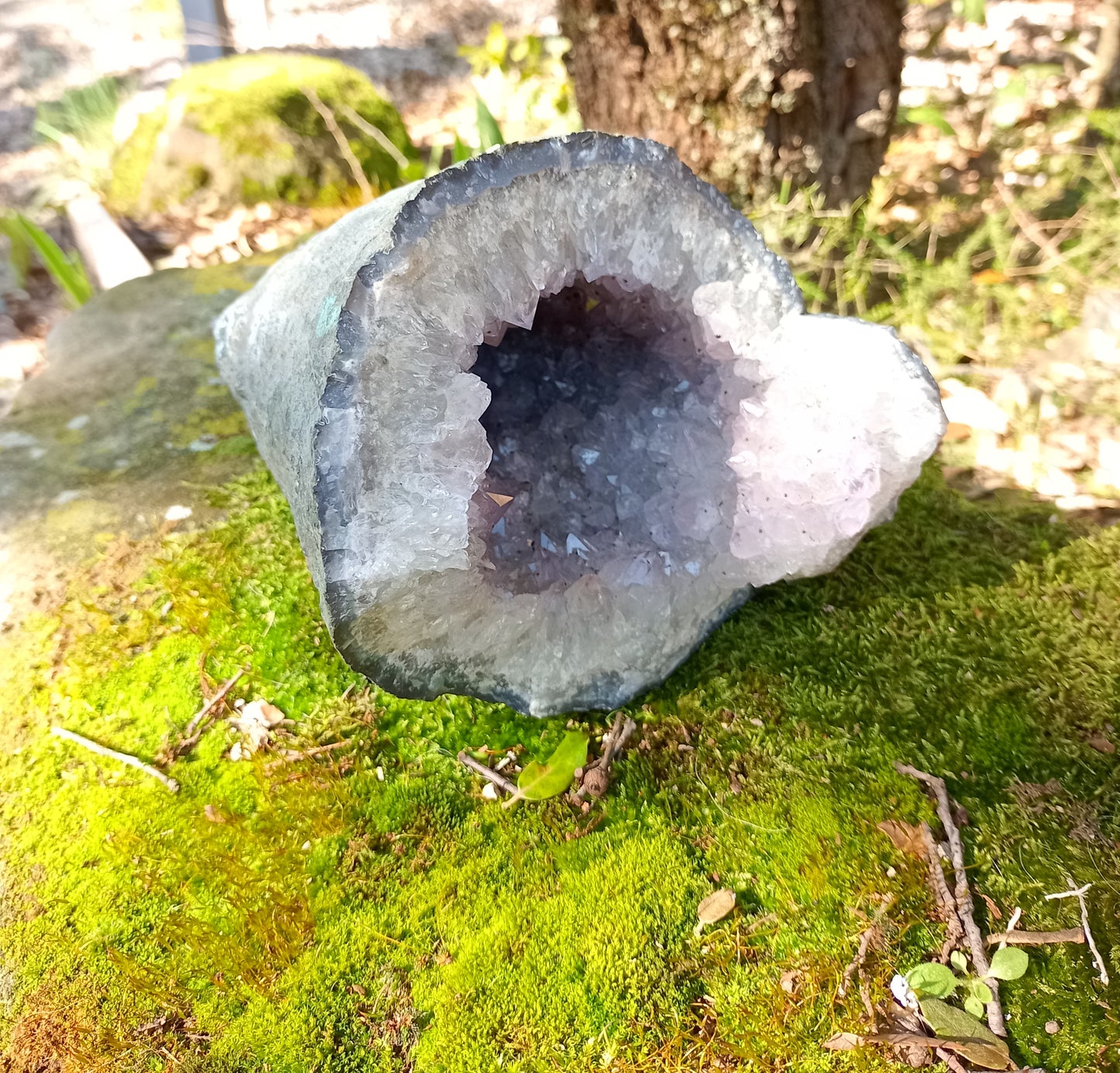 Amethyst Geode “From the Depths”
