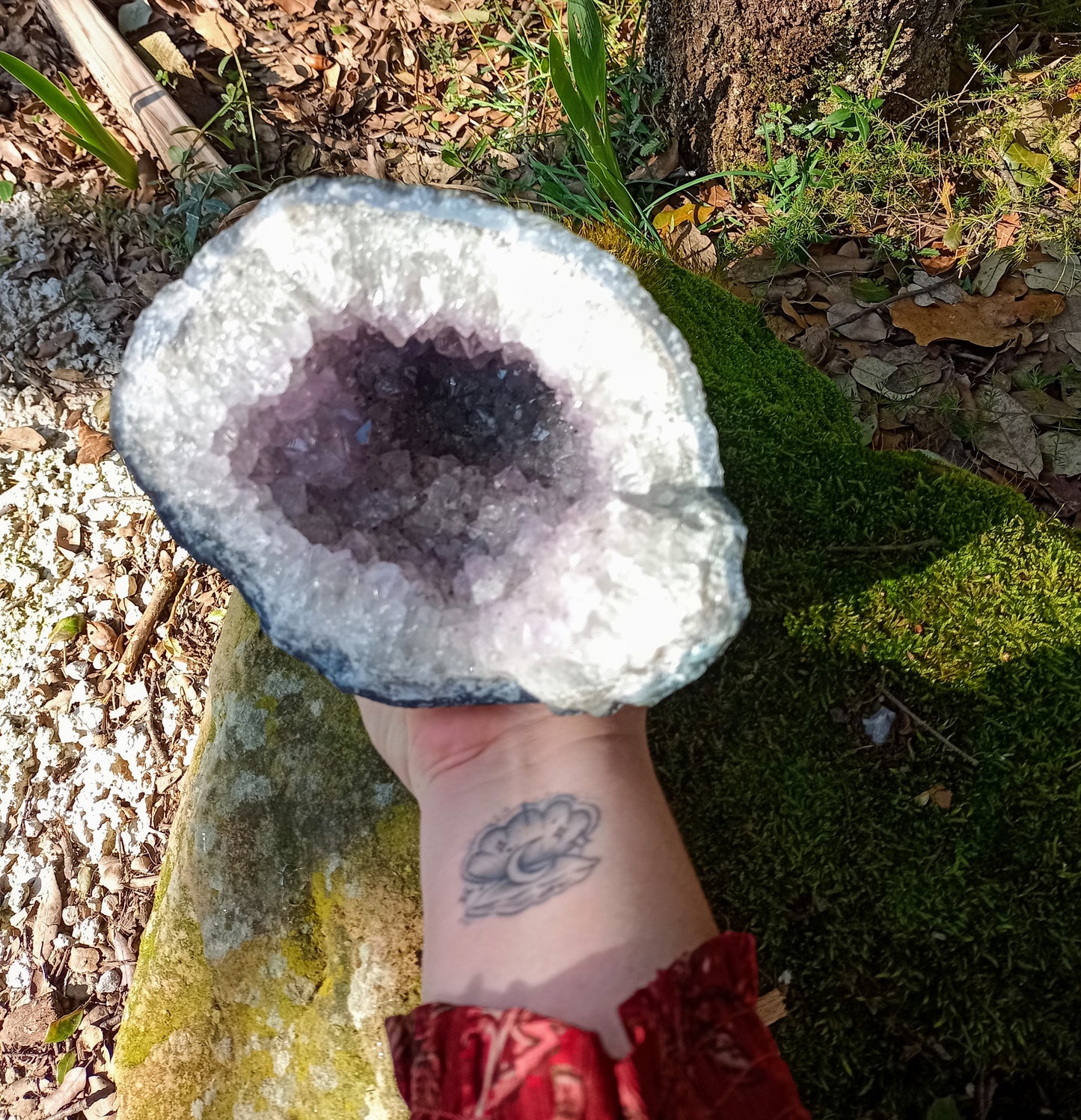 Amethyst Geode “From the Depths”