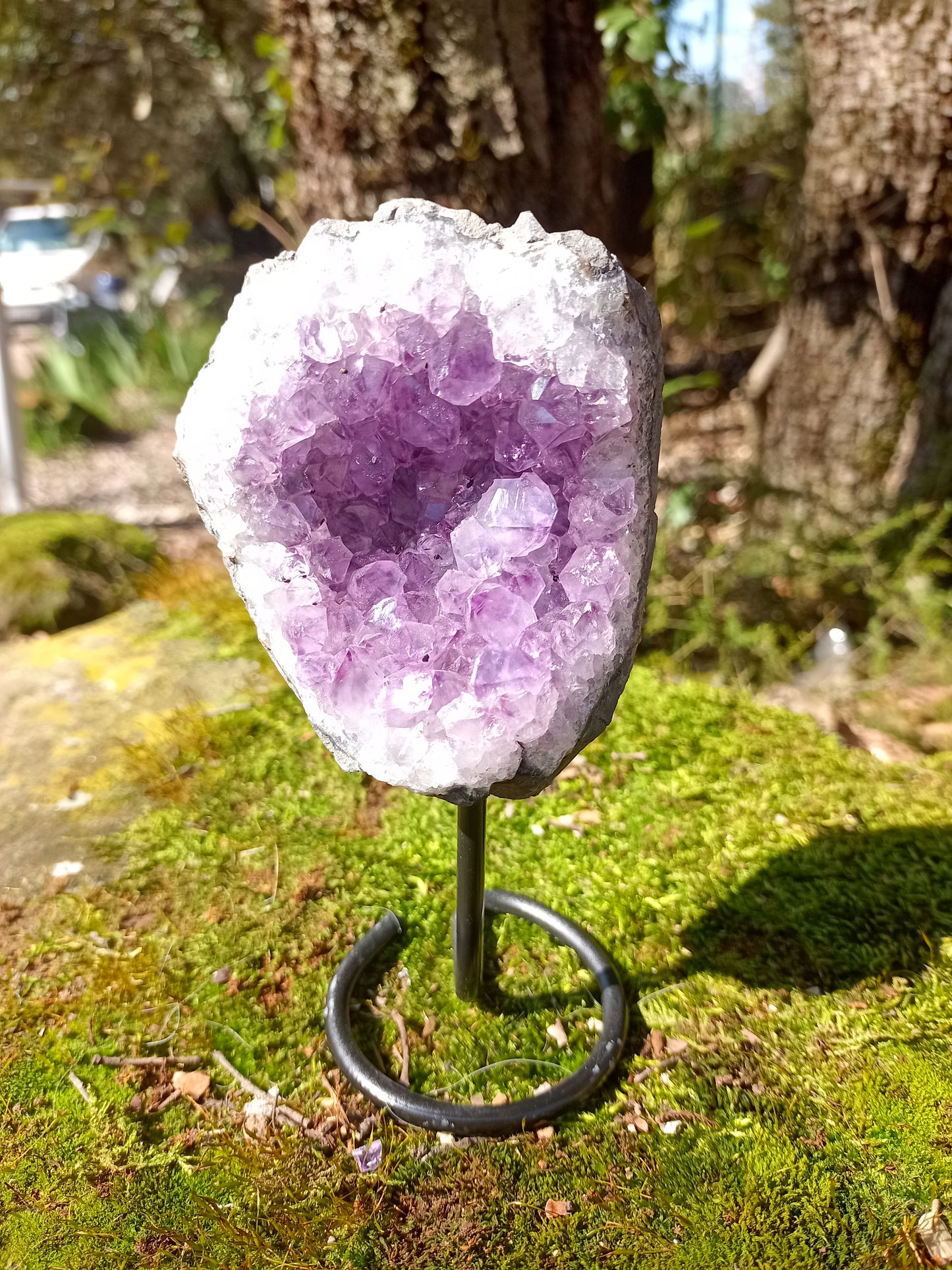 Amethyst Druse on Base