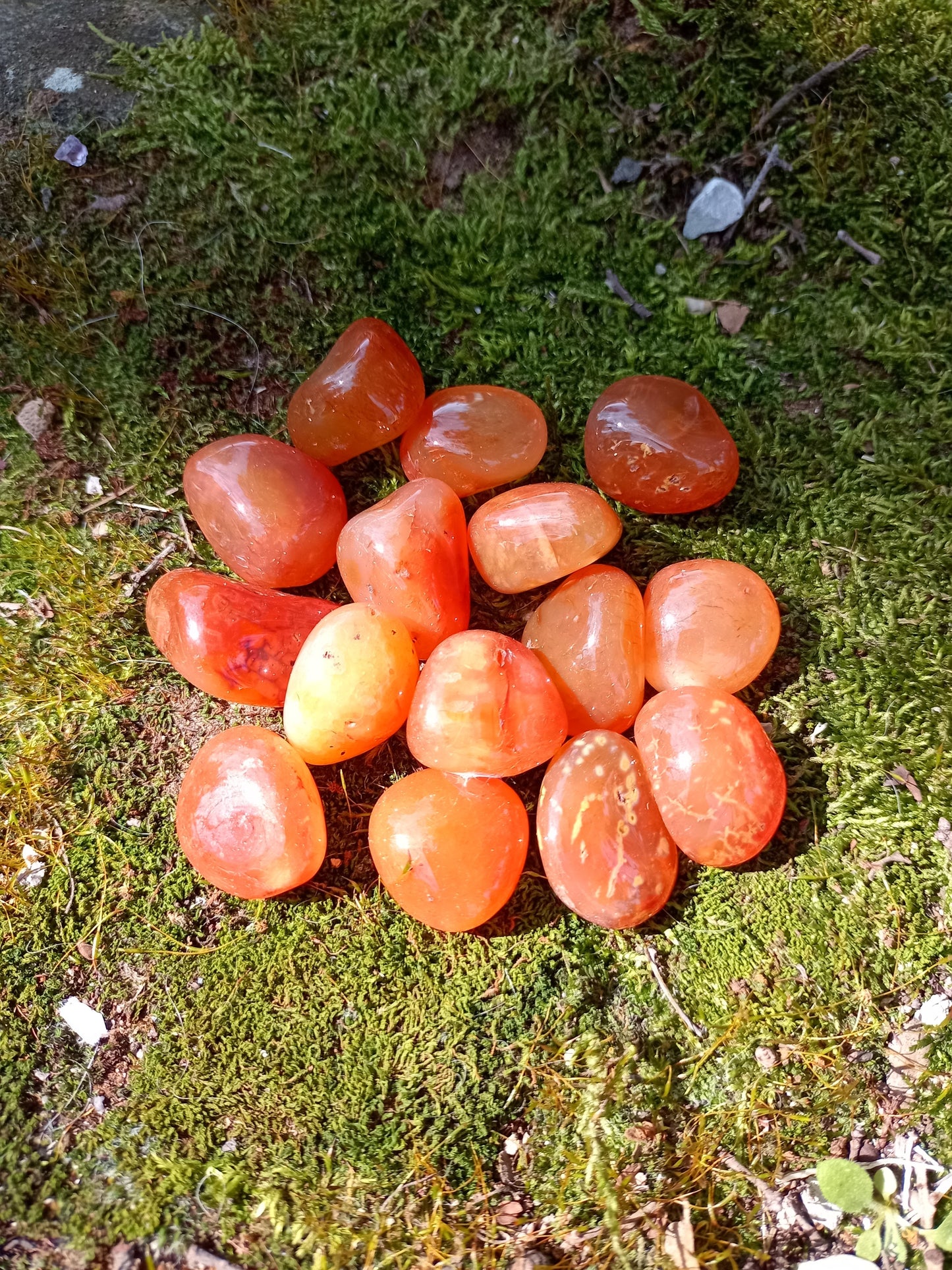 My Sacred Feminine Pouch