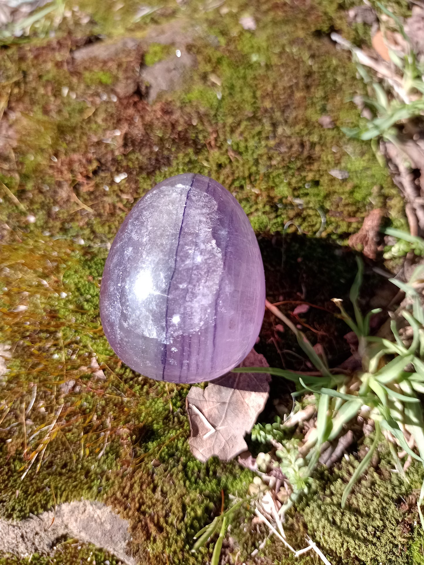 Large Fluorite Yoni Egg