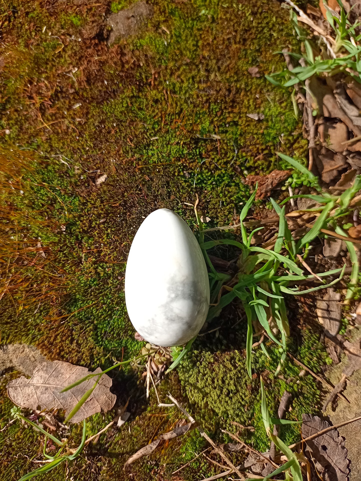 Small Howlite Yoni Egg