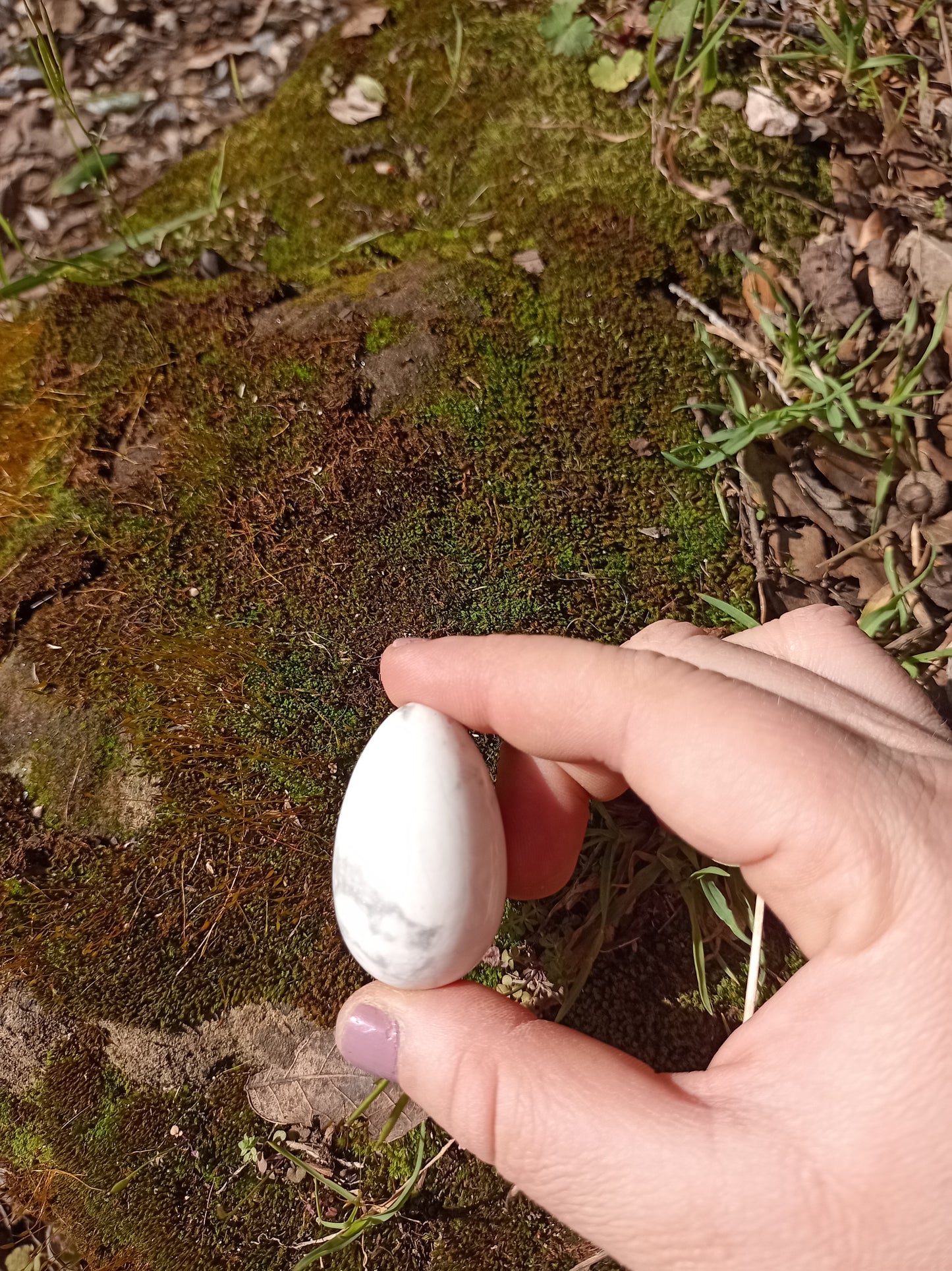 Small Howlite Yoni Egg
