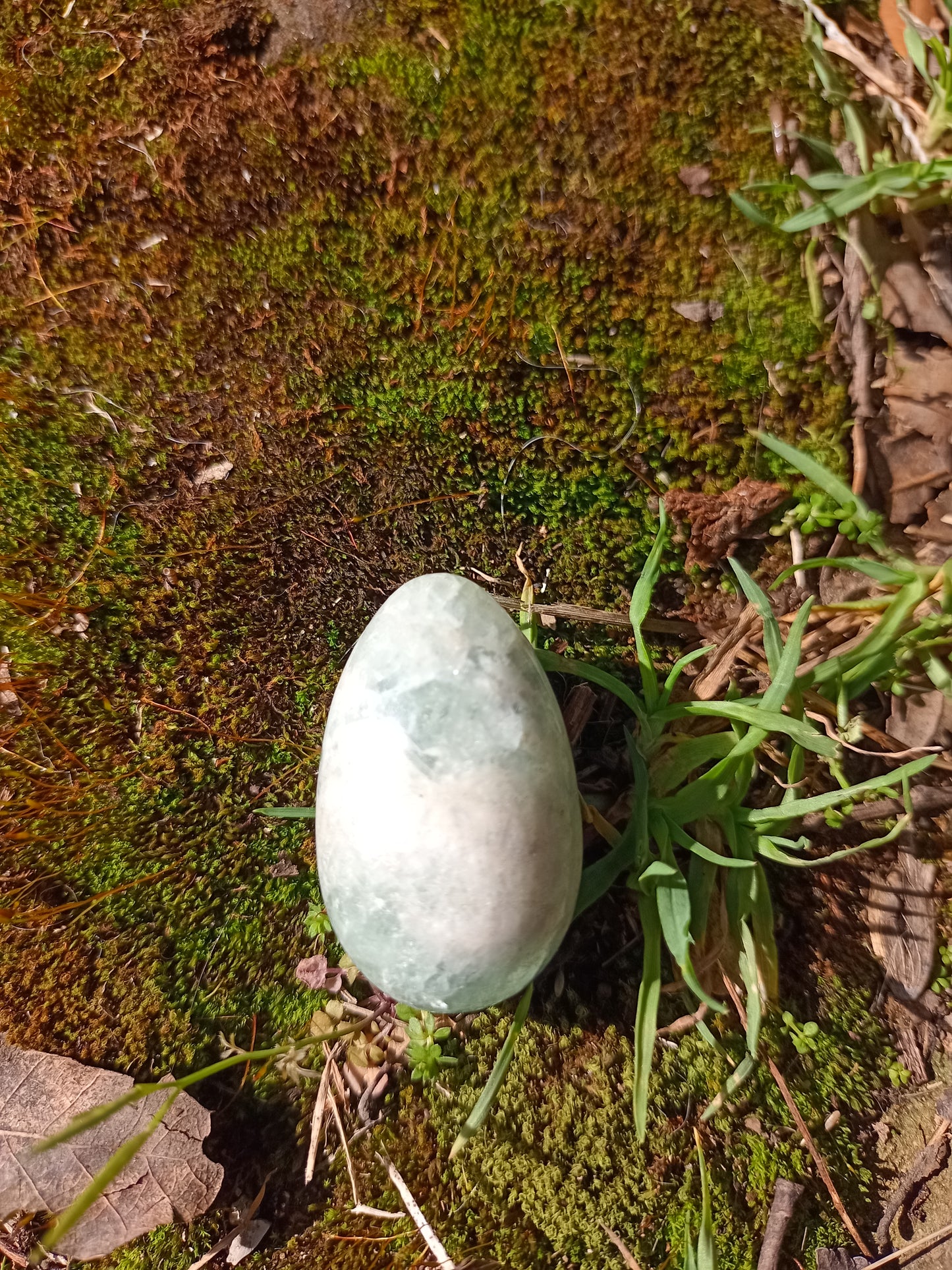 Small Fluorite Yoni Egg - Green Fluorine