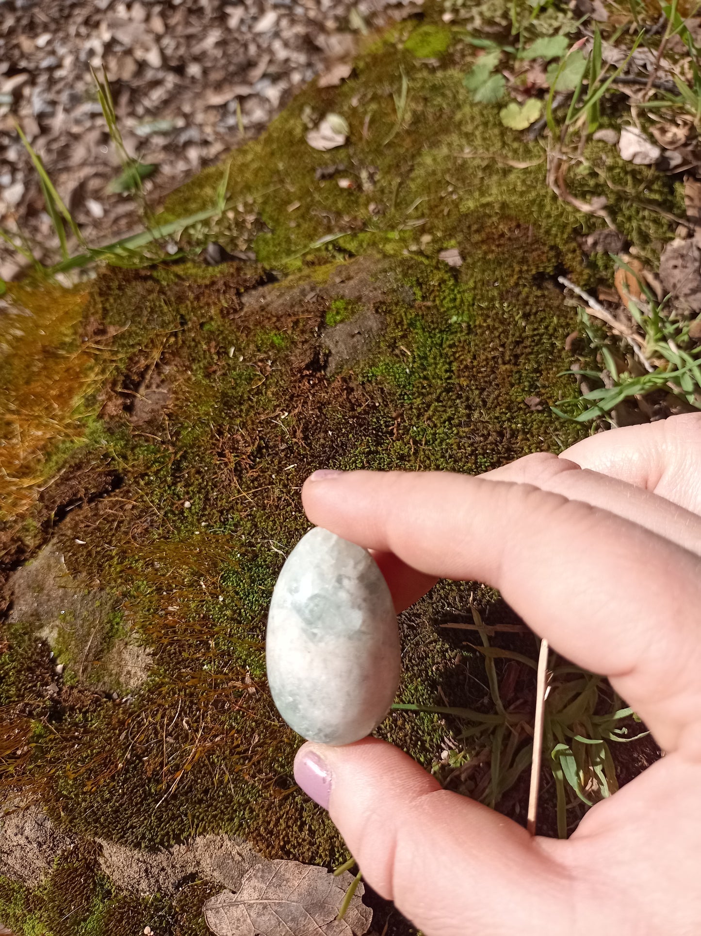 Small Fluorite Yoni Egg - Green Fluorine