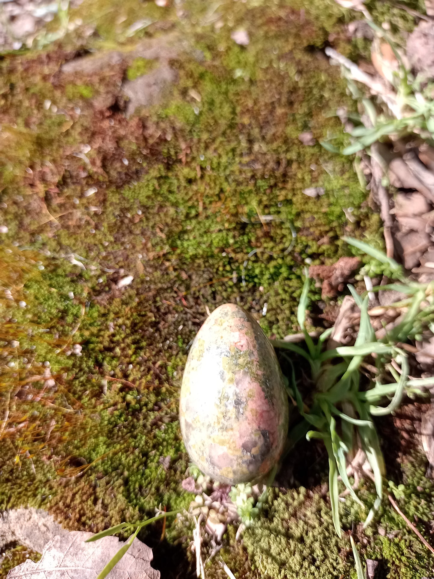 Small Unakite Egg