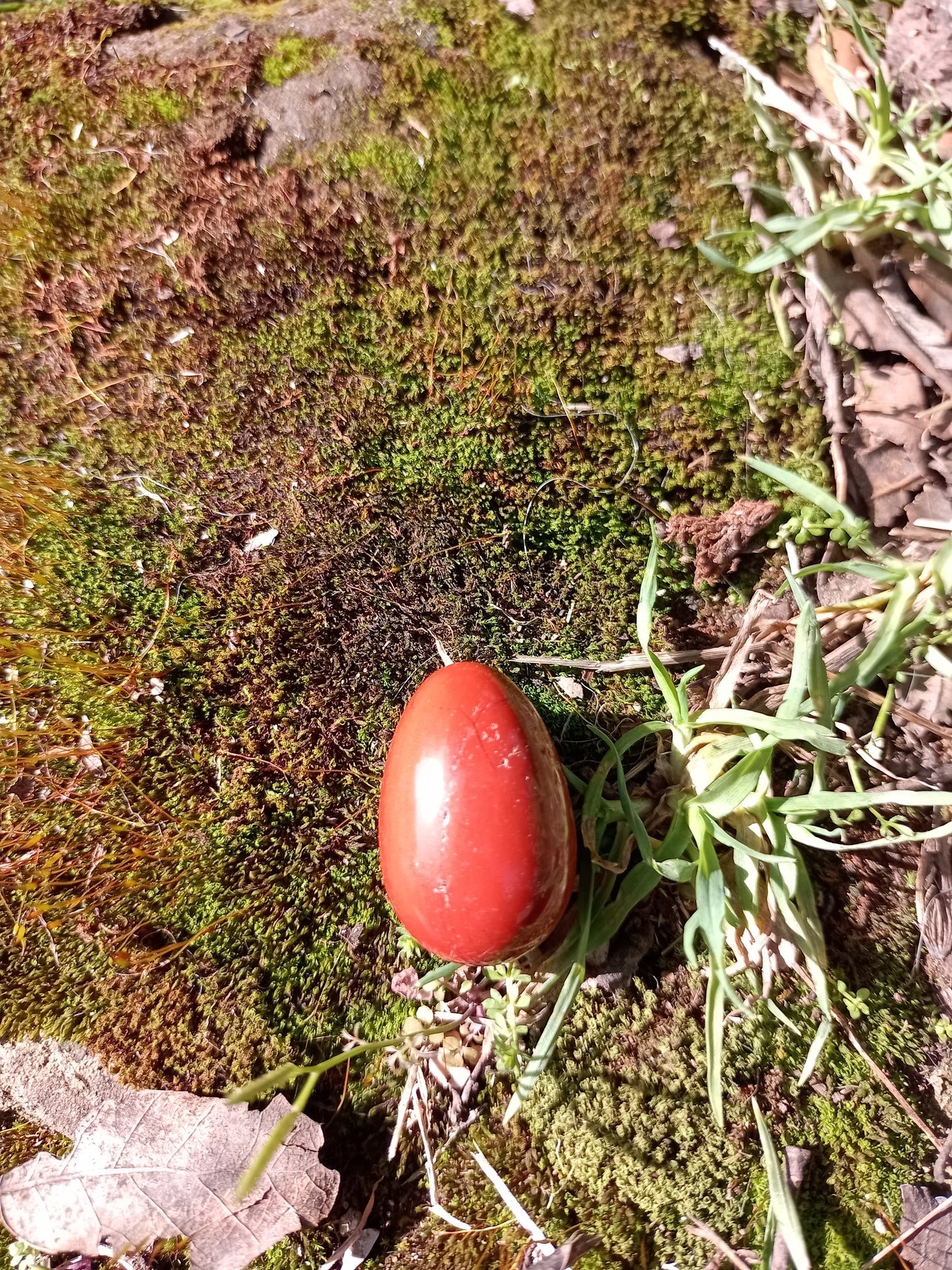 Mini Red Jasper Egg