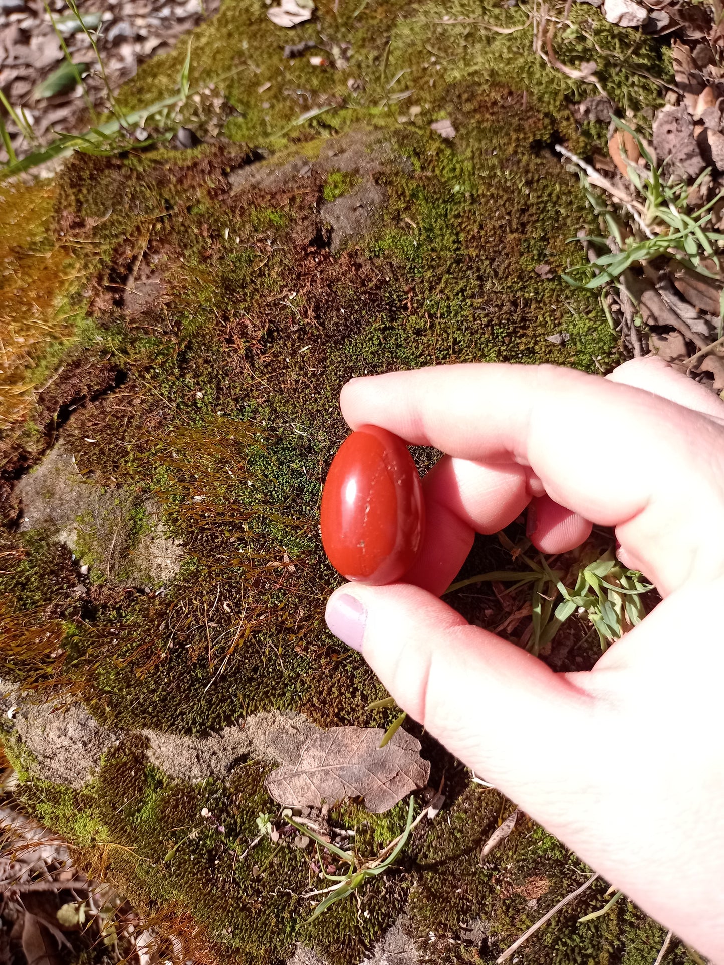 Mini Red Jasper Egg