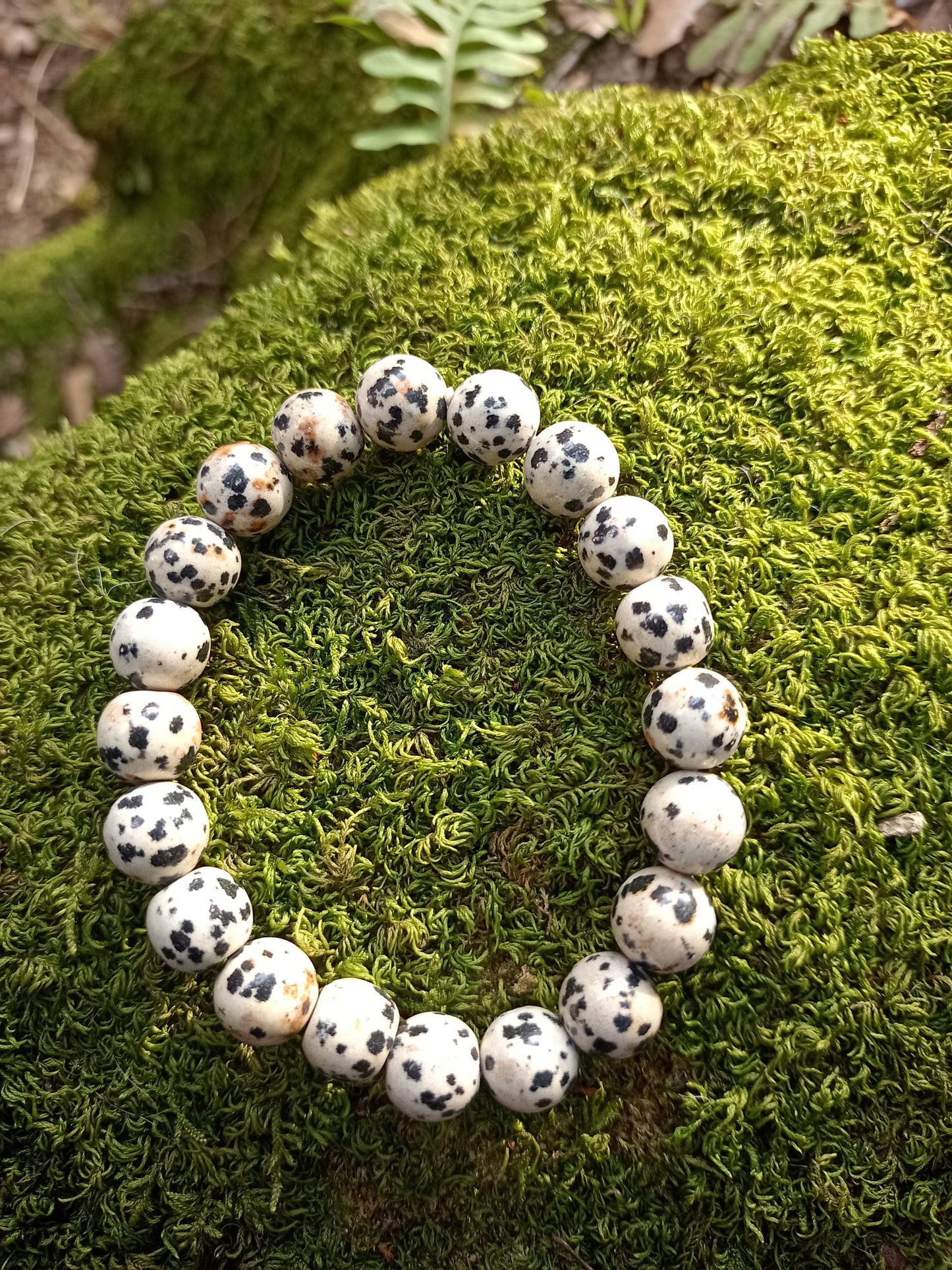 Dalmatian Jasper Bracelet 10mm