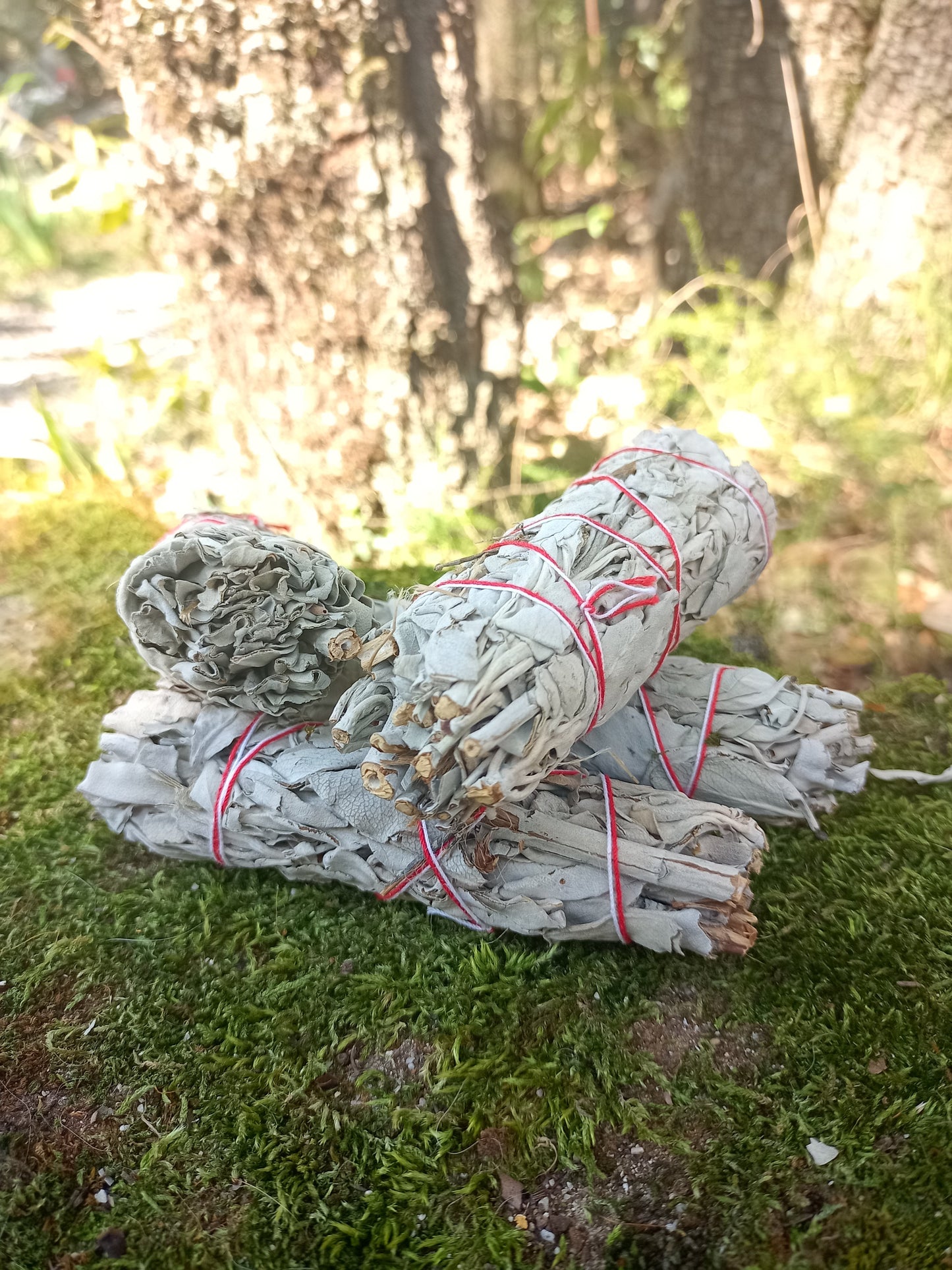 Ma pochette de Protection