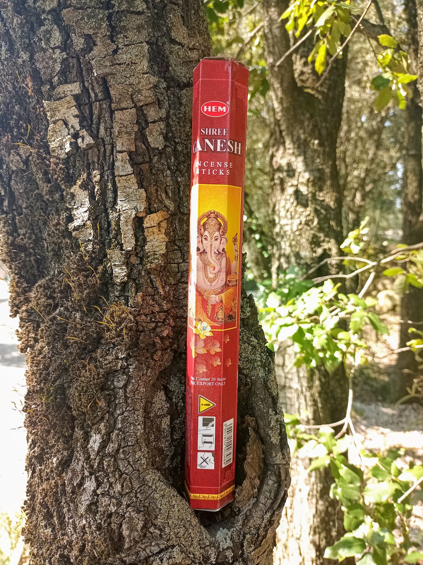 HEM Shree GANESH Incense