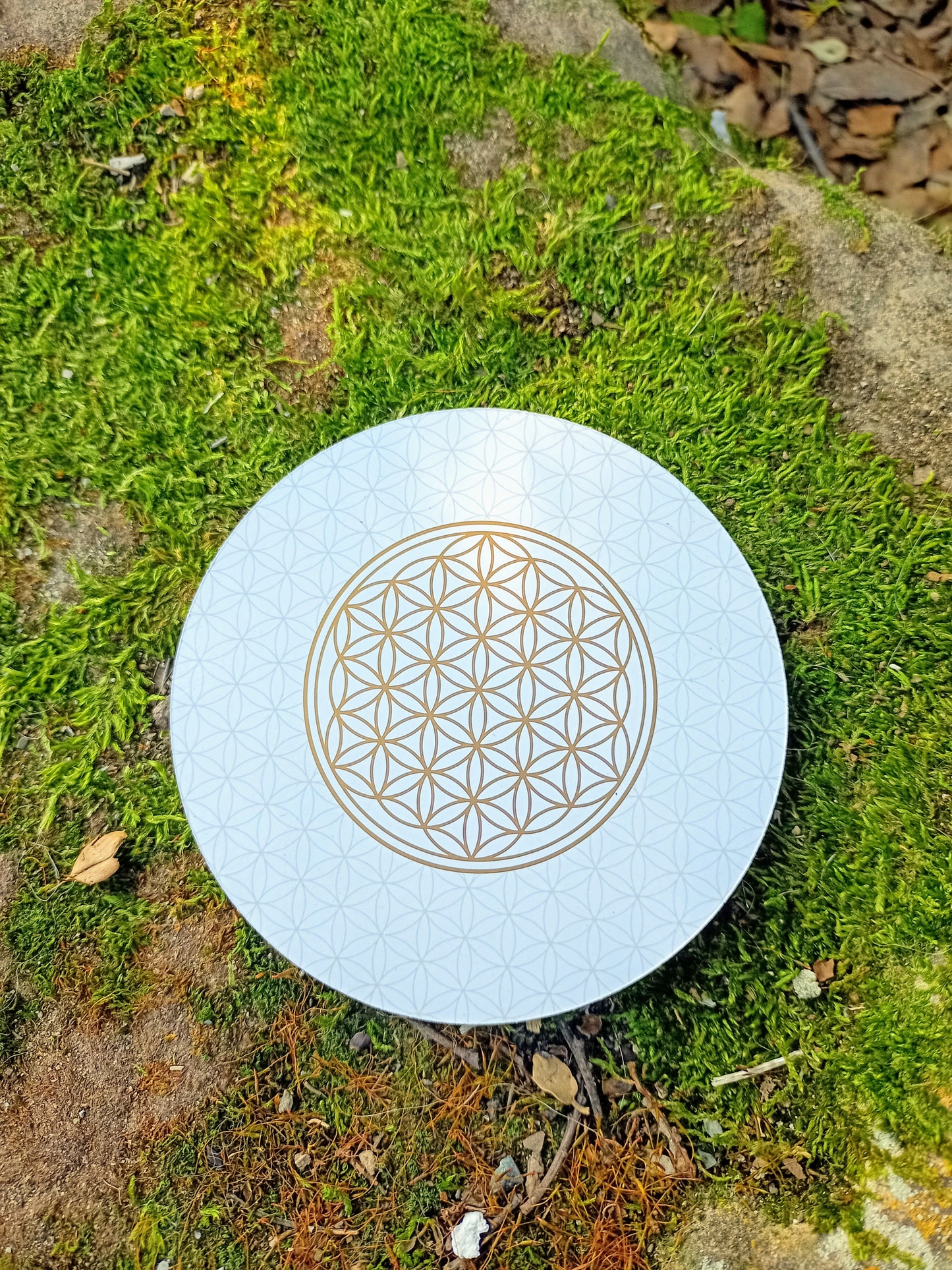 Flower of Life Holder or Coaster