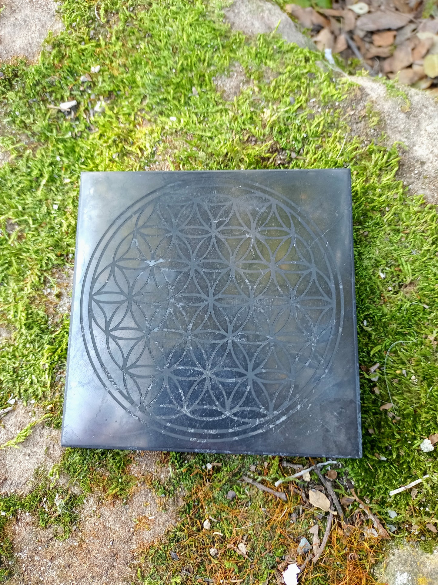 Flower of life Shungite electromagnetic protection