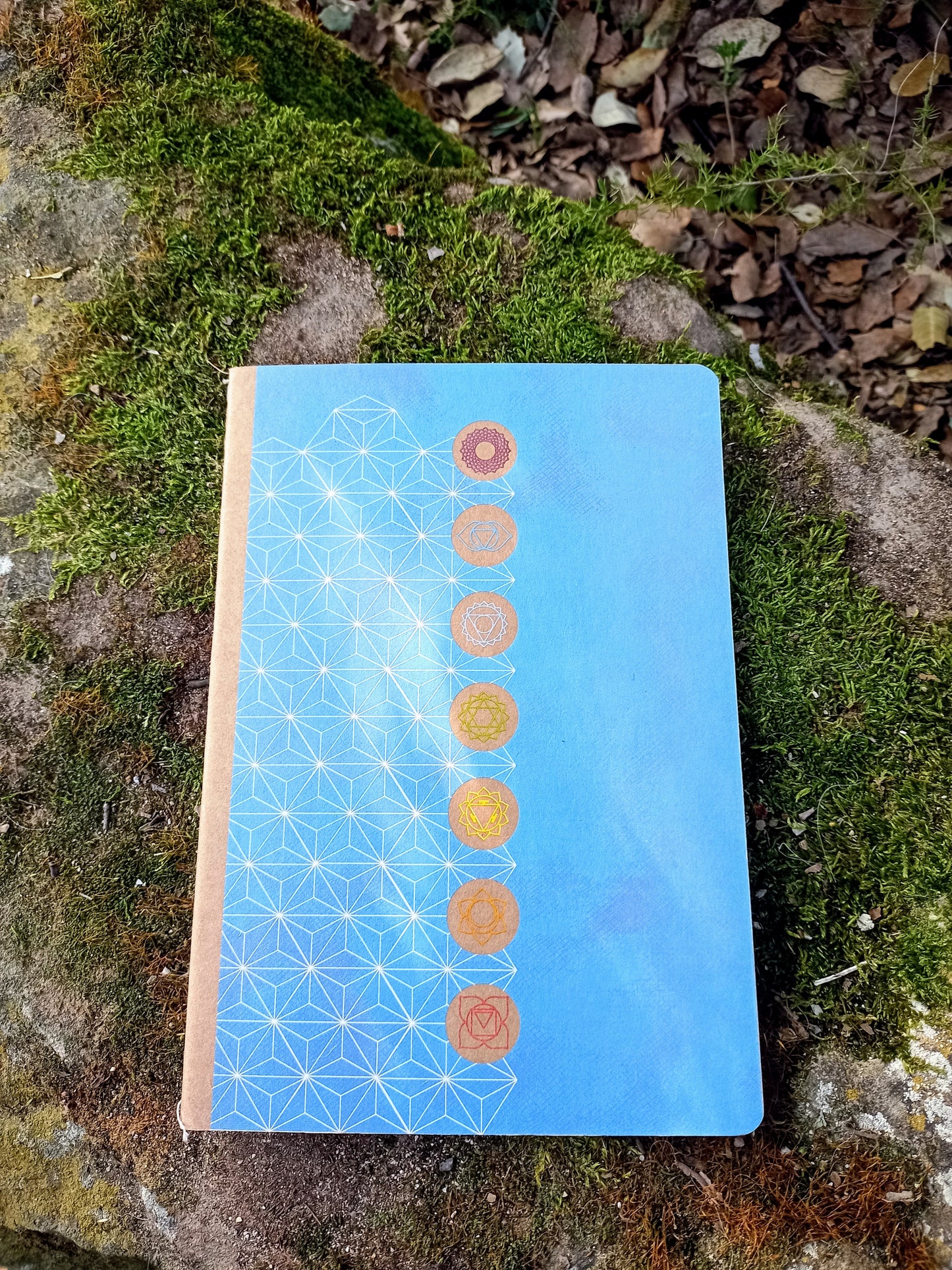 Carnet 7 Chakras