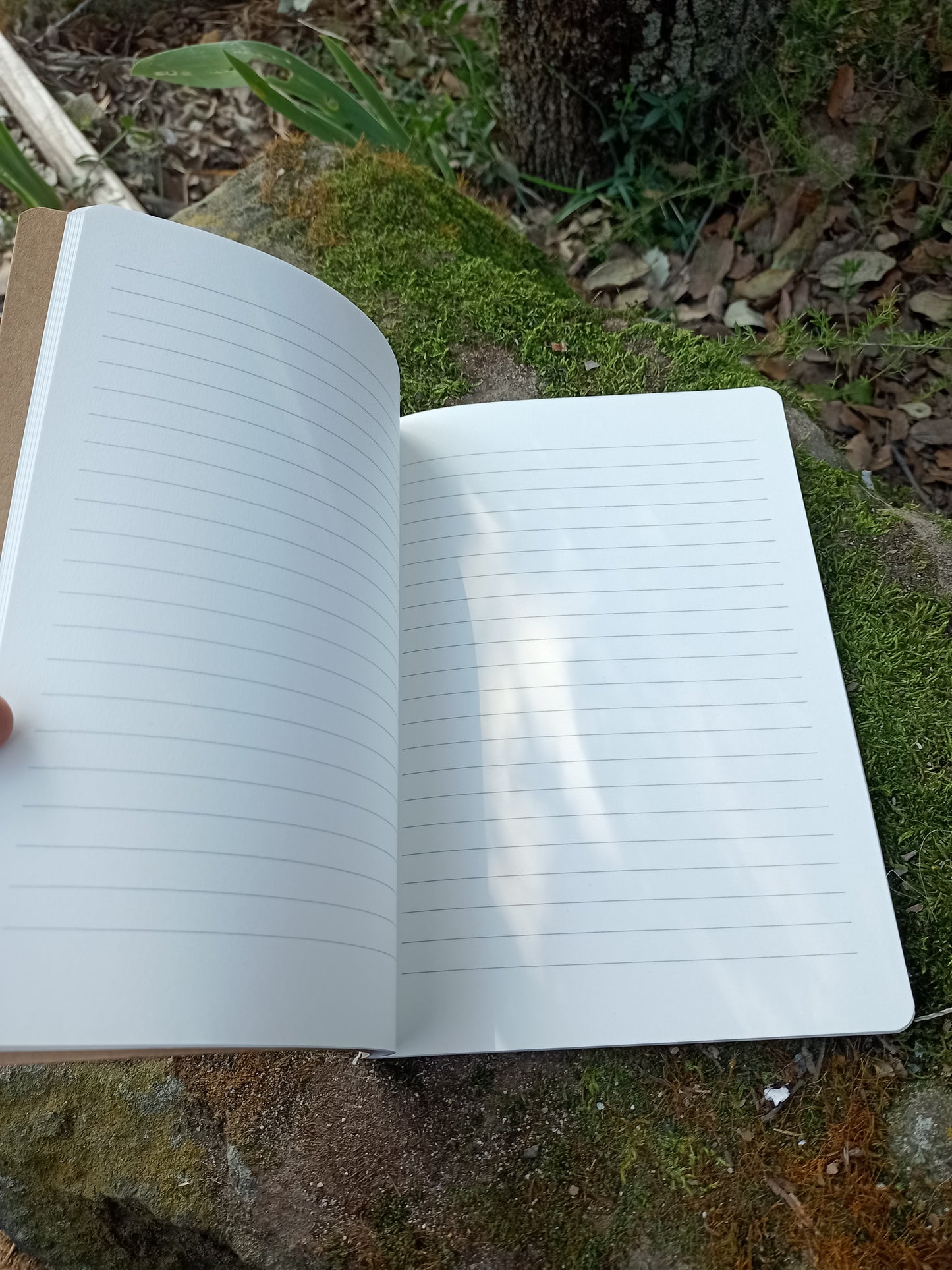 Flower of Life Notebook