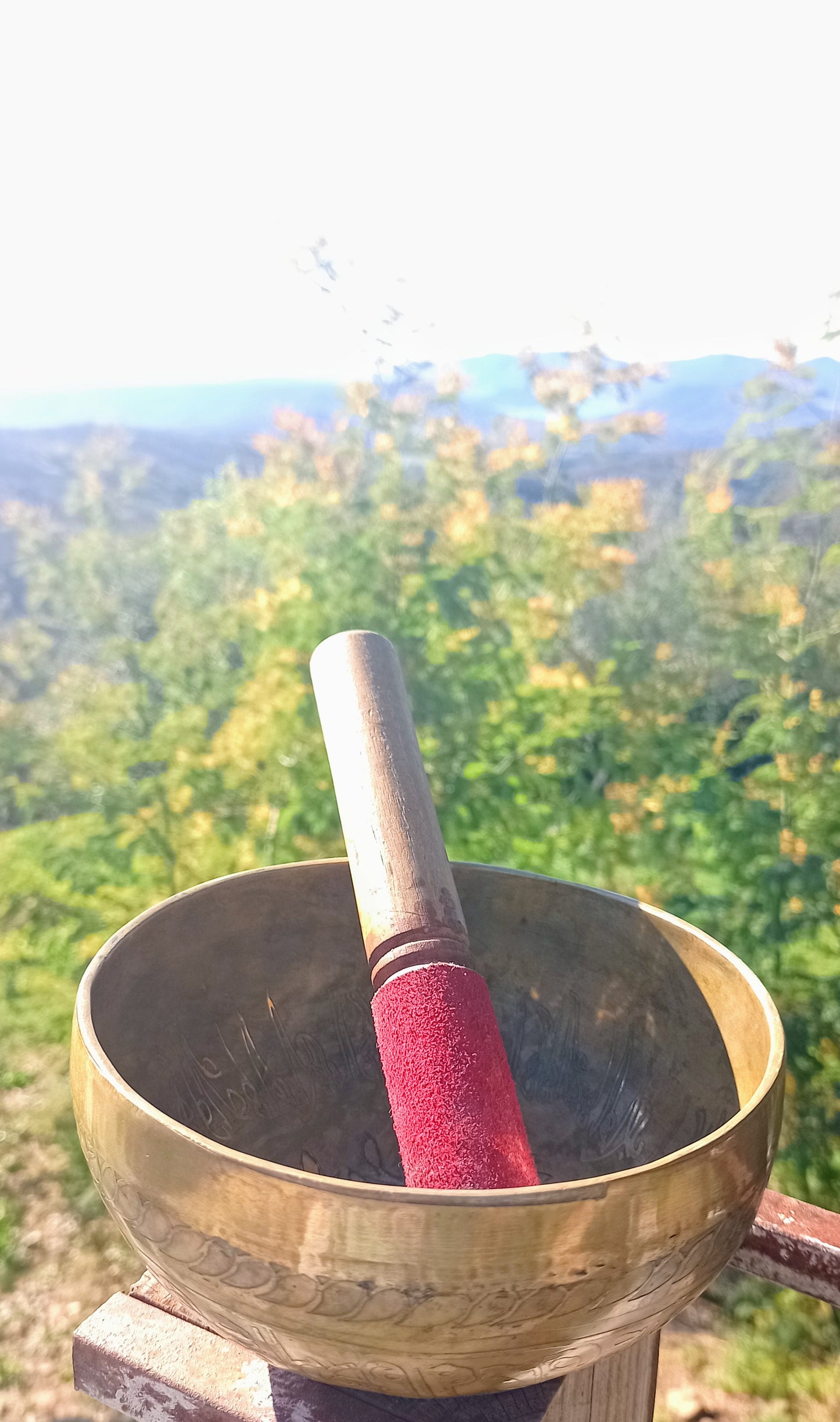 Bol chantant tibétain gravé arbre de vie 14.5cm