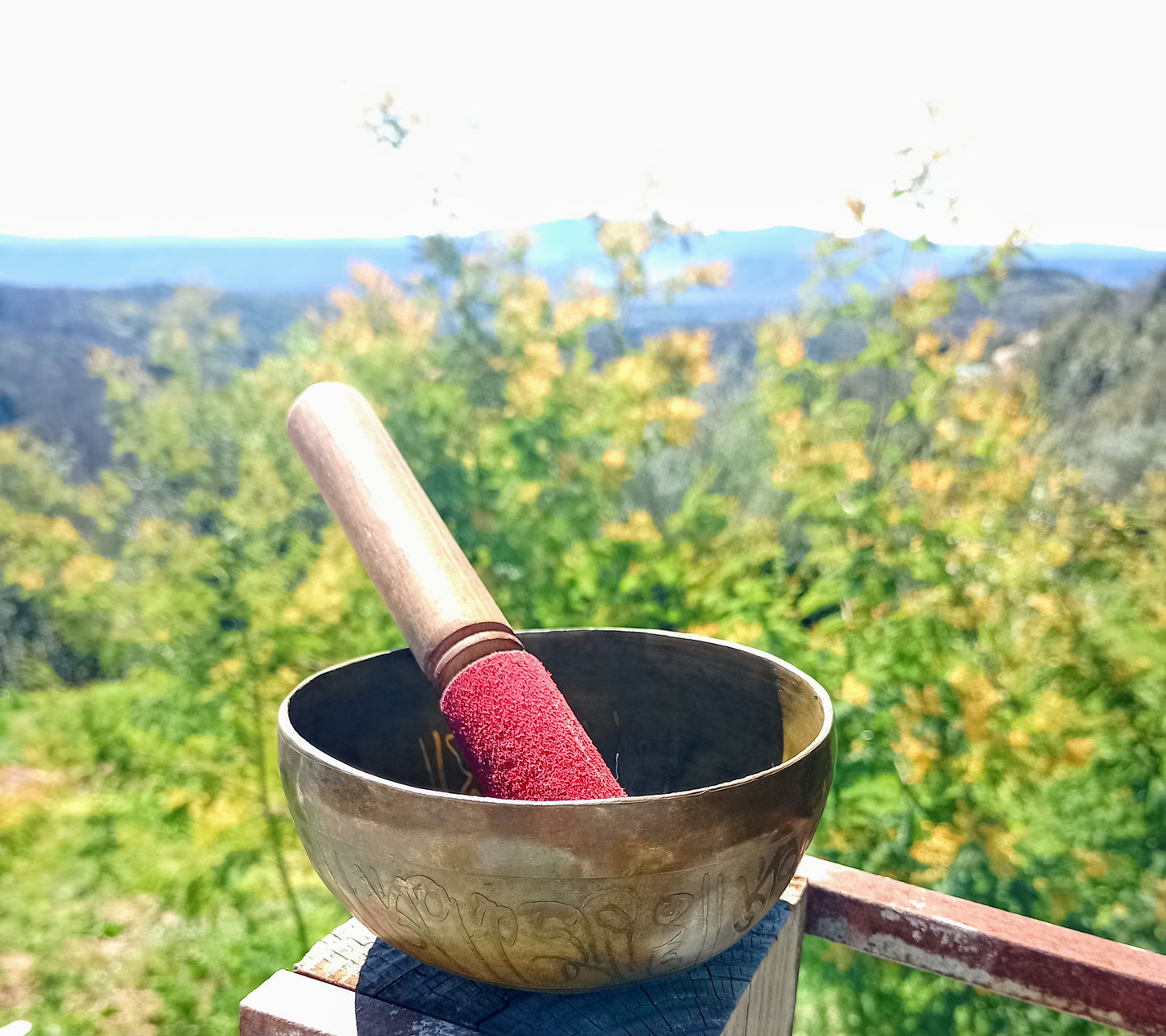 Tibetan singing bowl engraved Buddha 12 cm