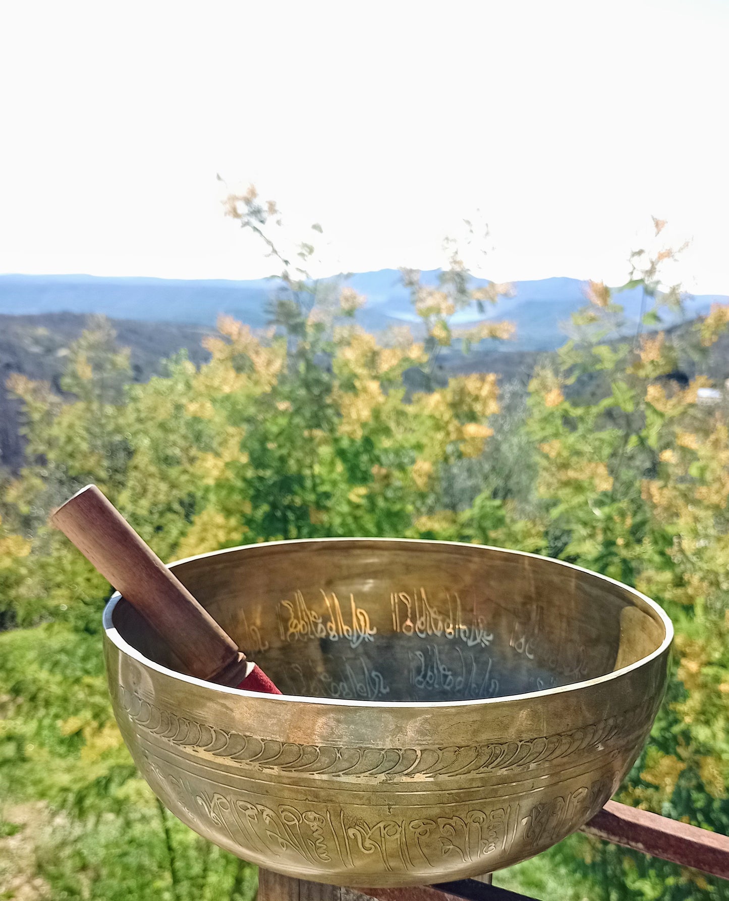 Tibetan singing bowl engraved Buddha 26 cm