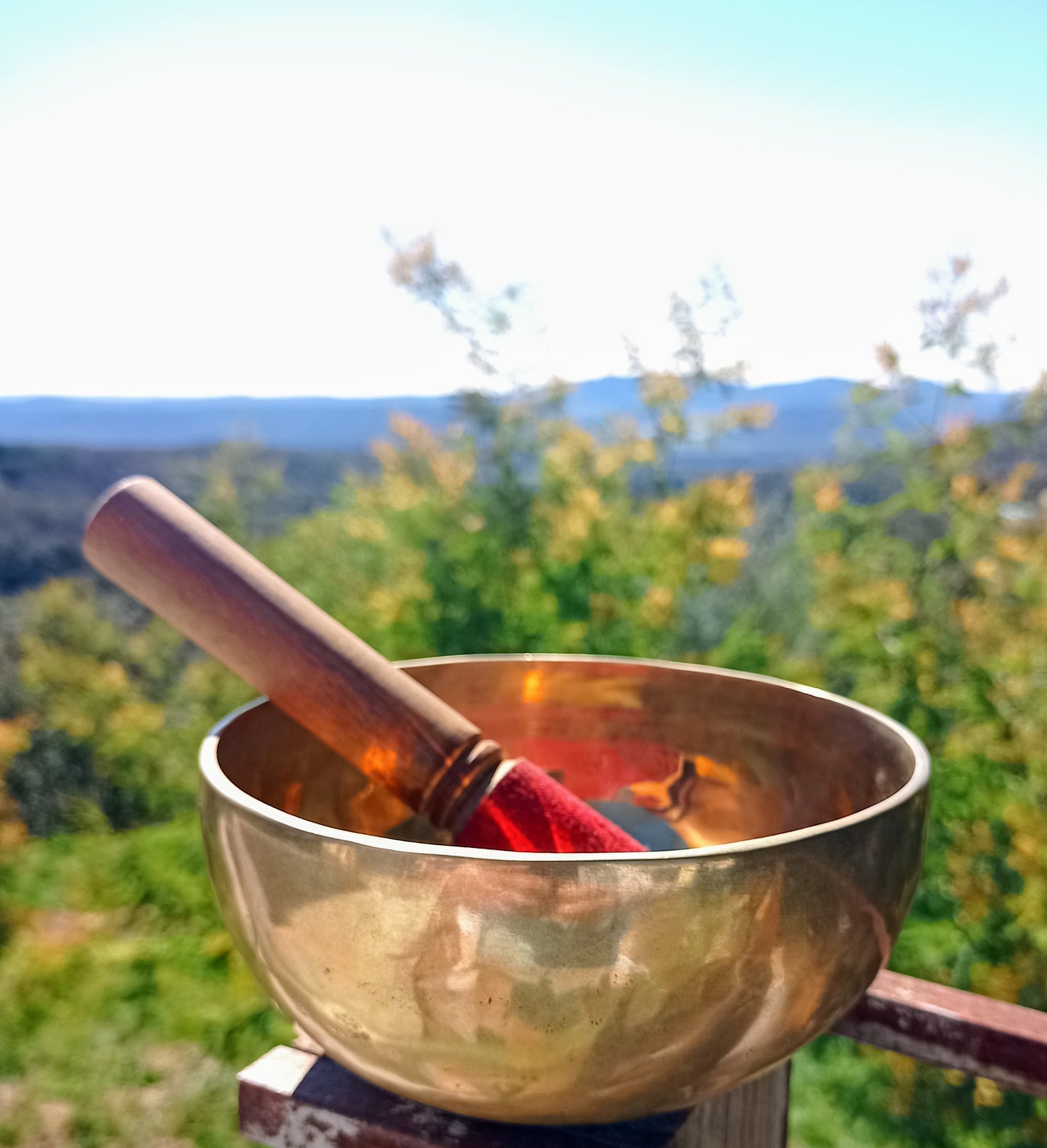 Tibetan singing bowl gold 15.5cm