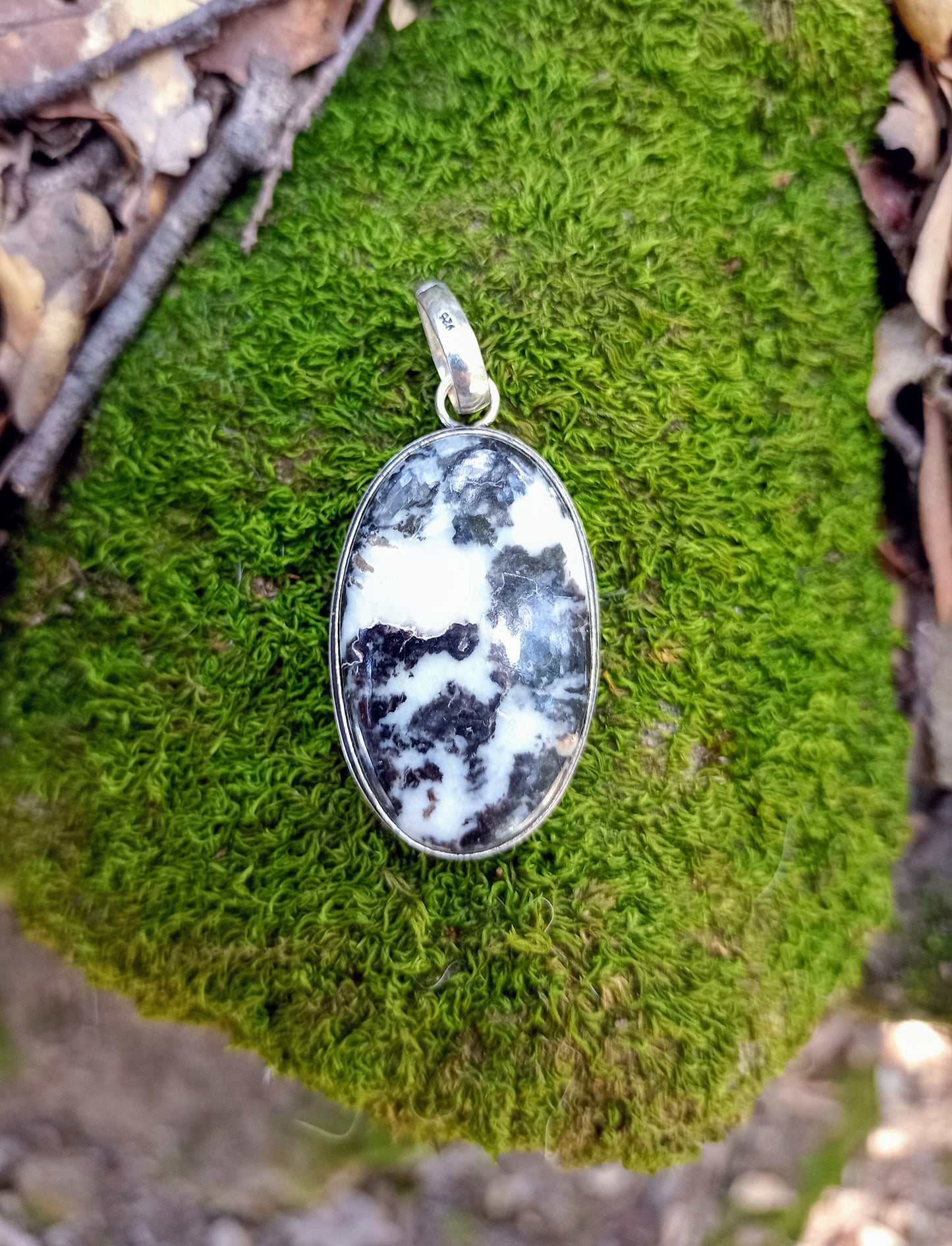 Pendentif en Jaspe Zèbre