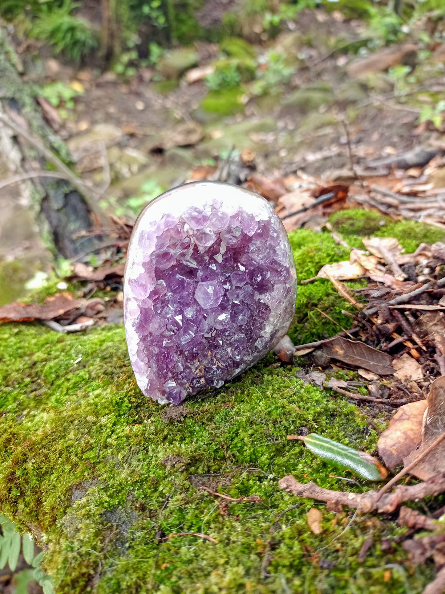 Druse in Amethyst from Uruguay