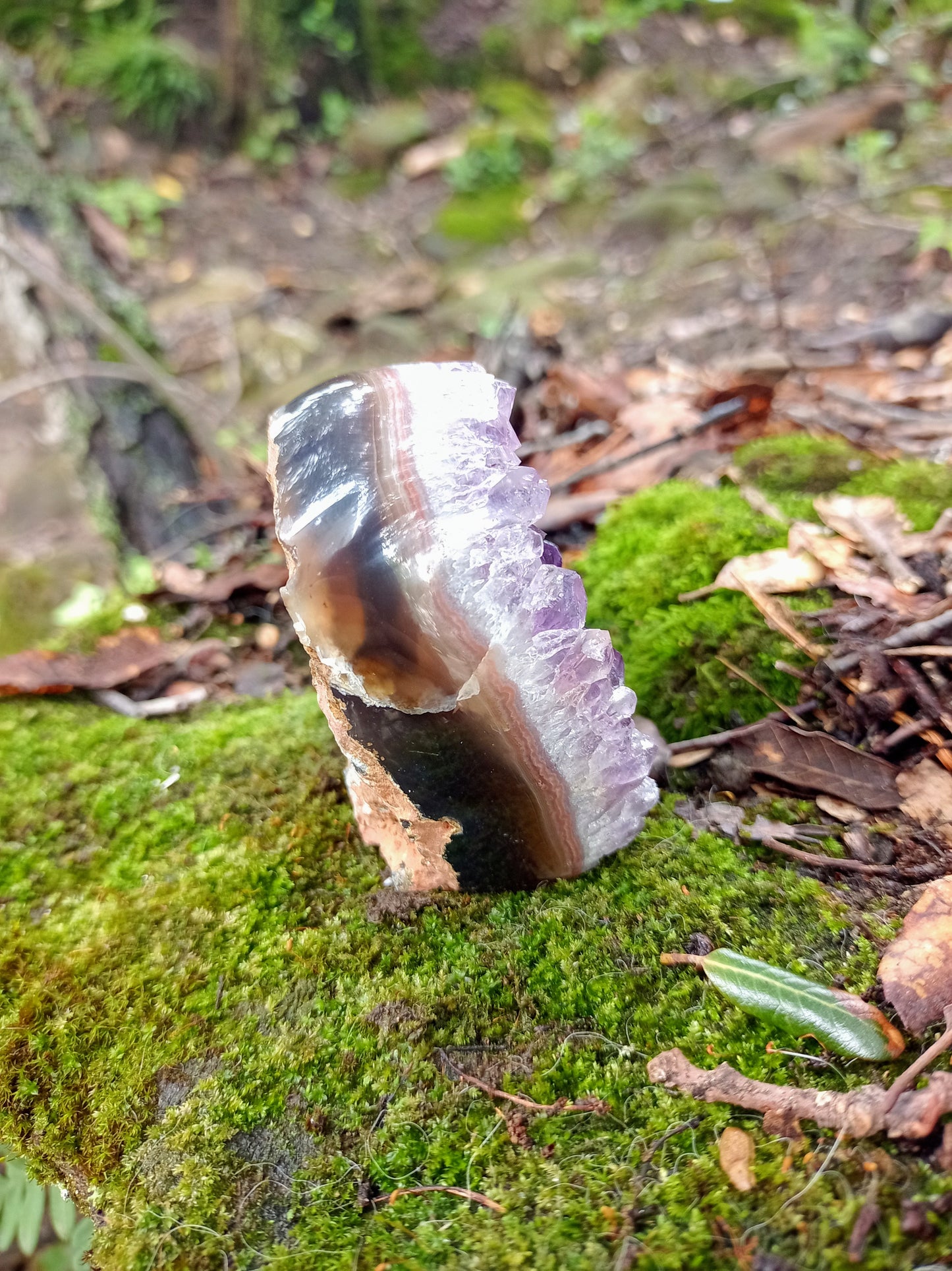 Druse in Amethyst from Uruguay