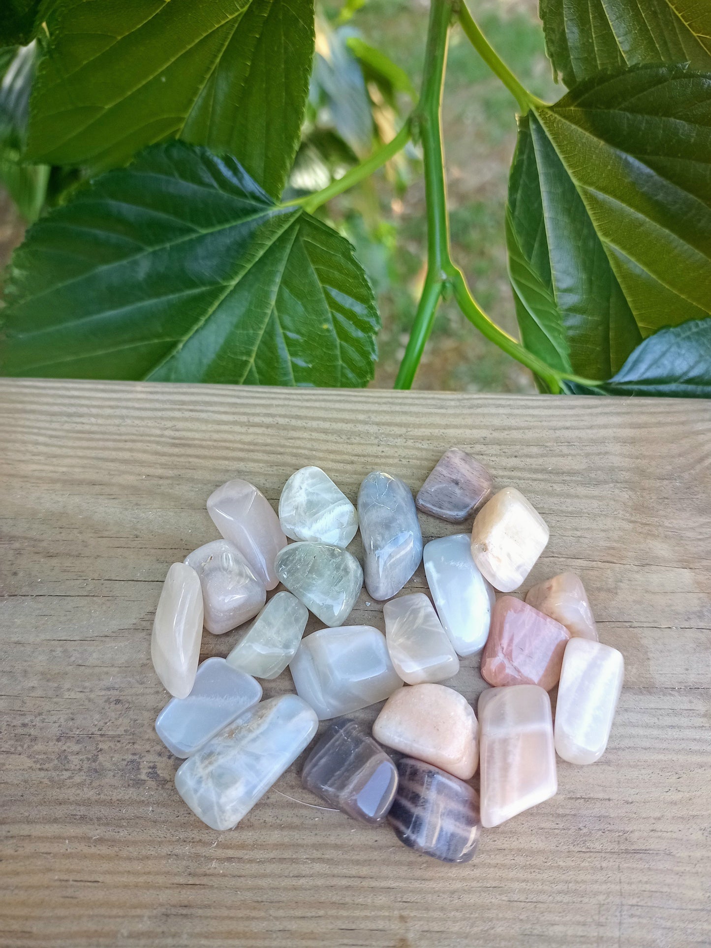My Sacred Feminine Pouch
