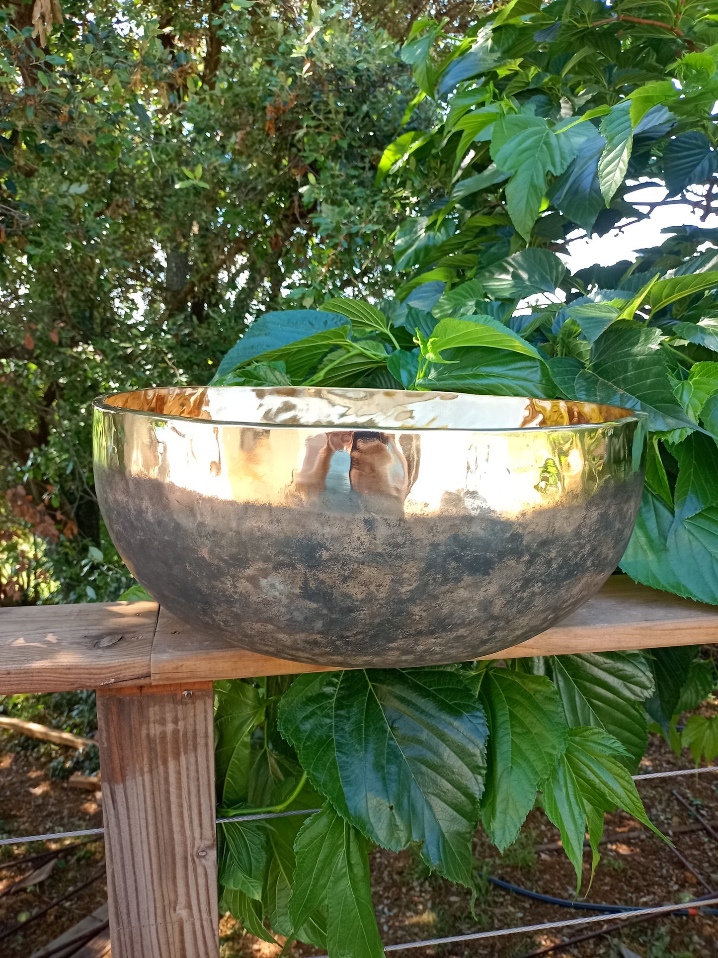 Tibetan singing bowl Ishana black/gold 49cm