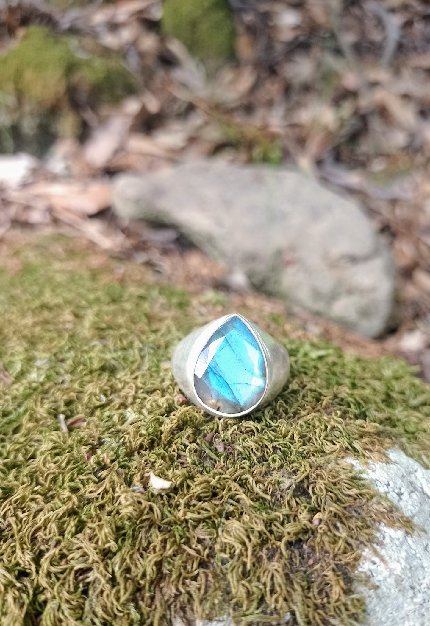 Faceted Labradorite Ring size 63