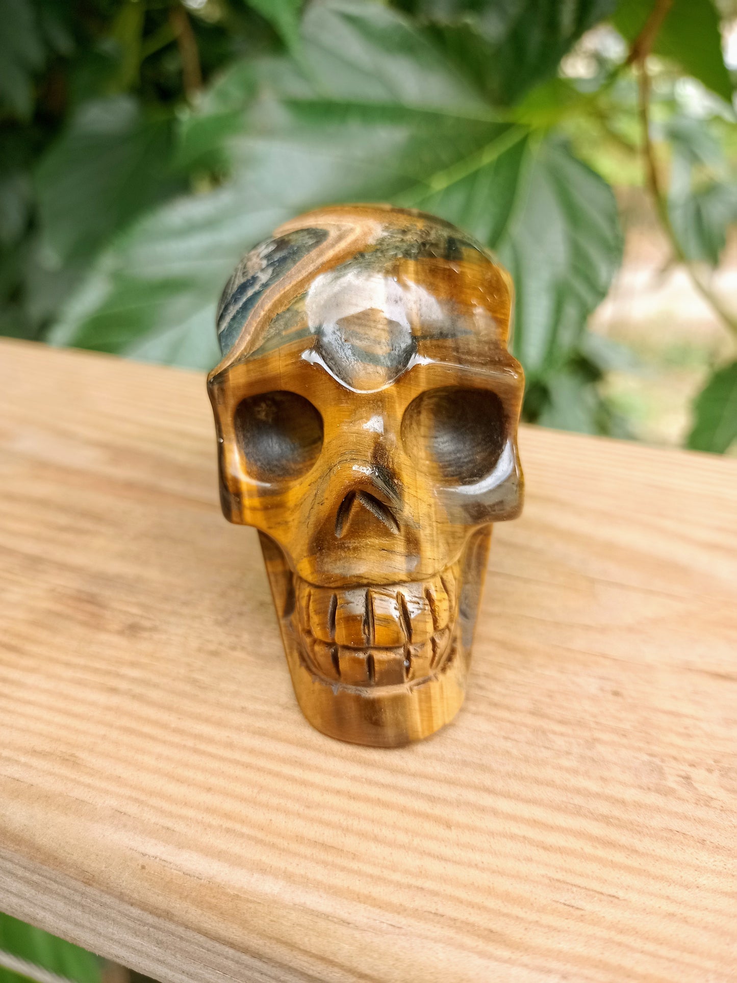 Tiger Eye Skull