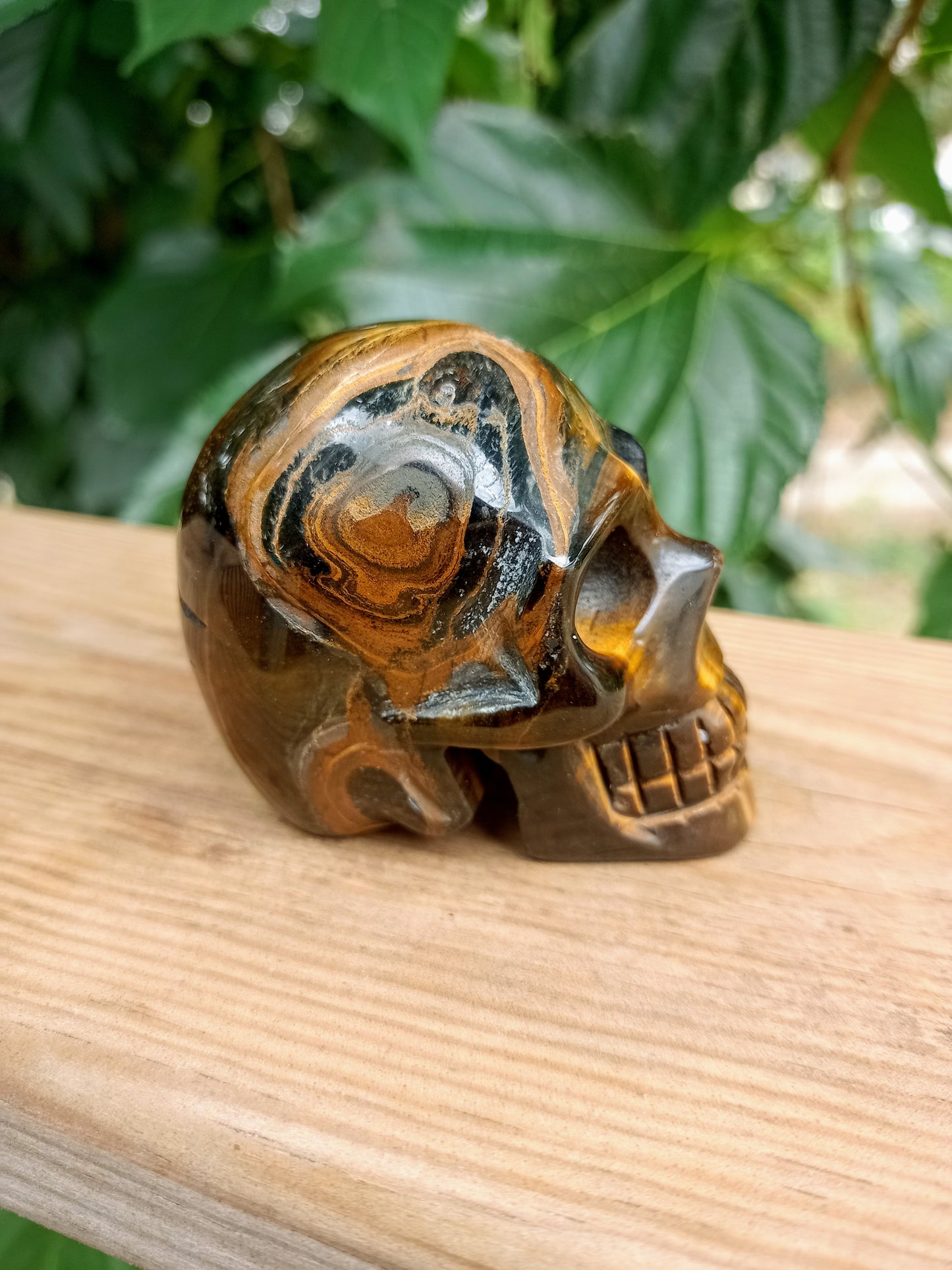 Tiger Eye Skull