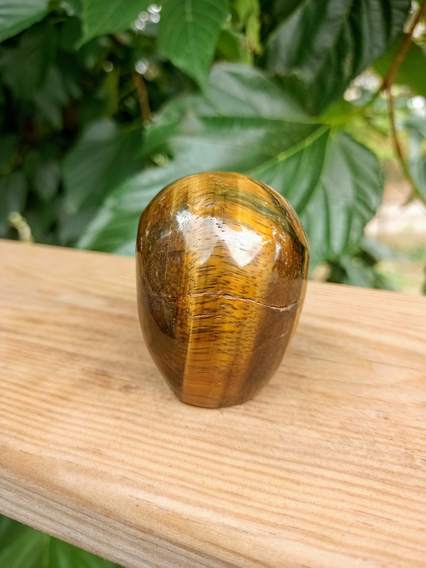 Tiger Eye Skull