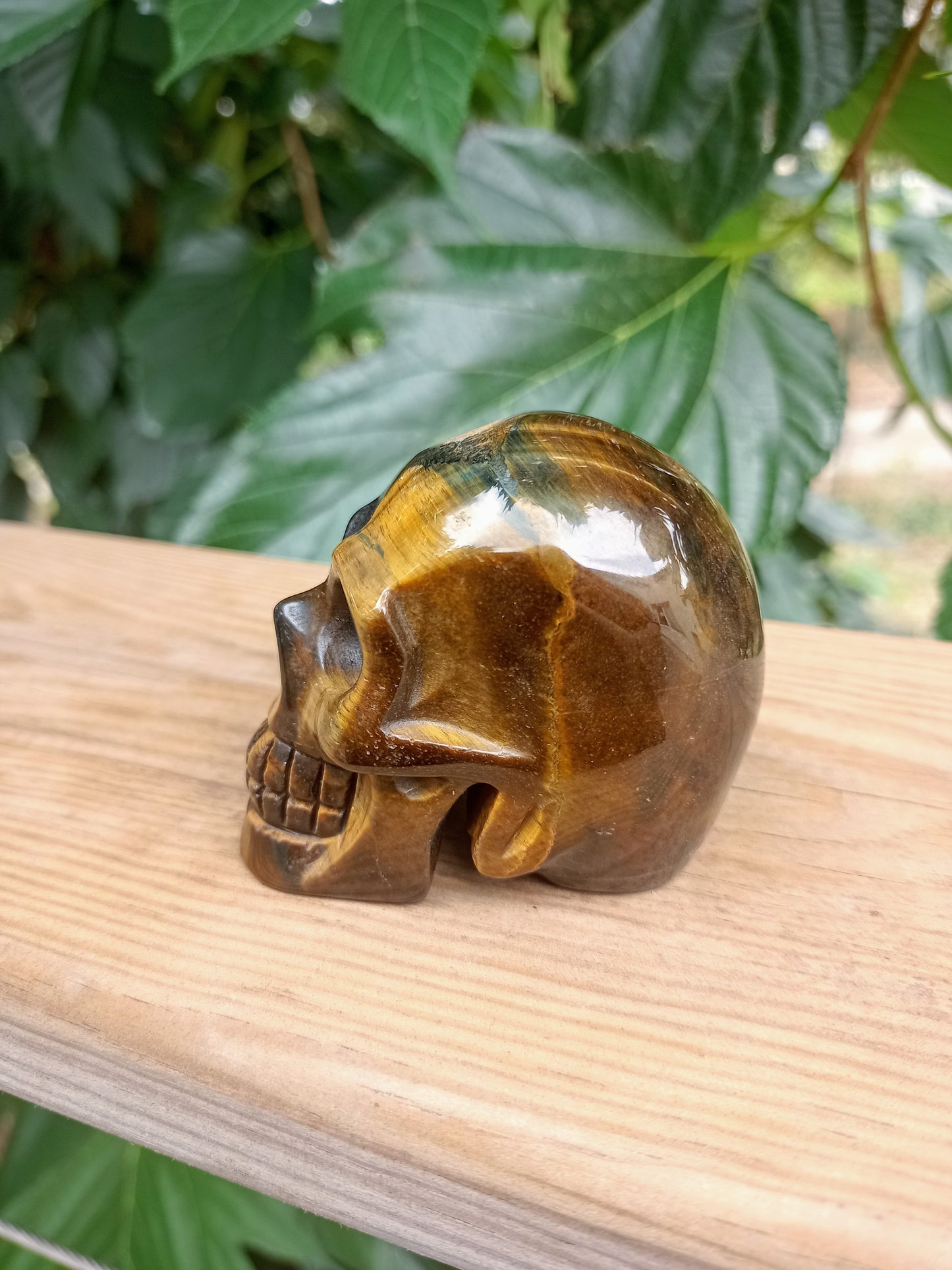 Tiger Eye Skull